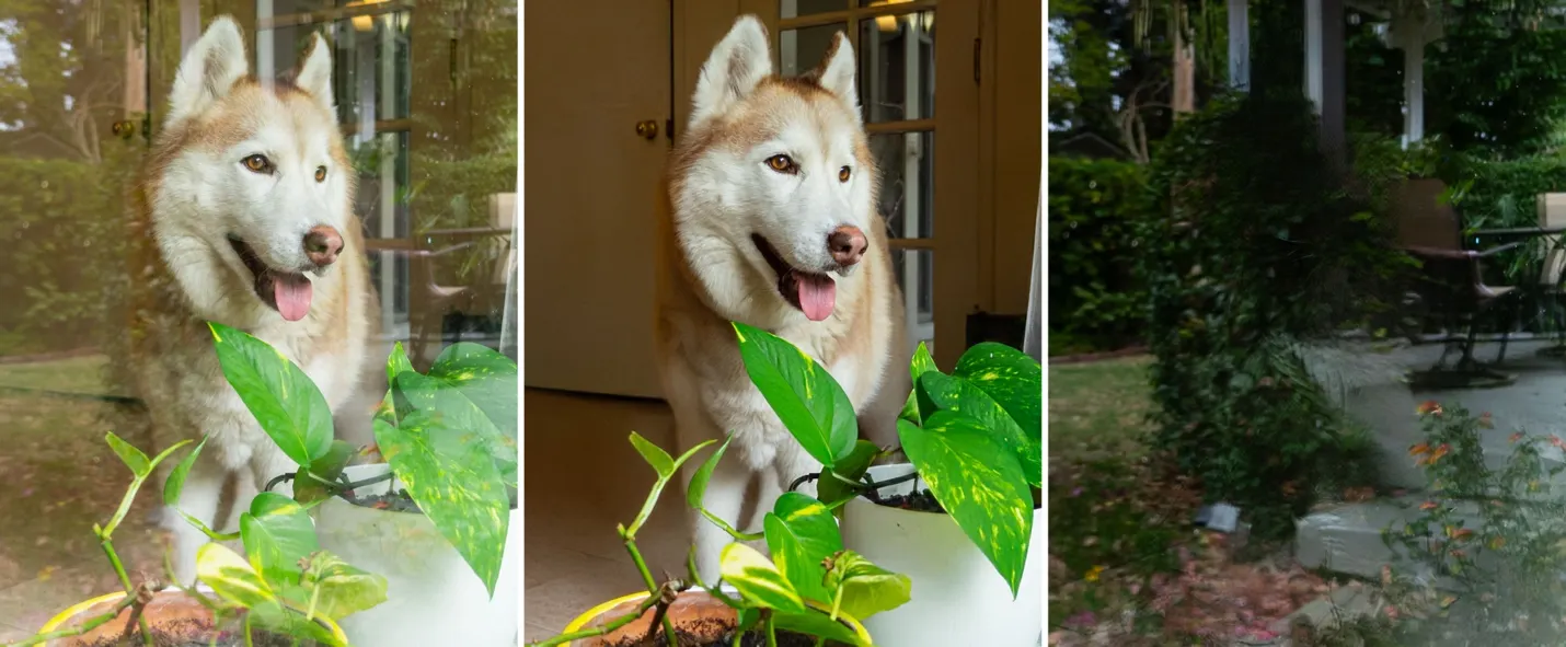 An example of the Adobe Camera Raw reflection removal tool