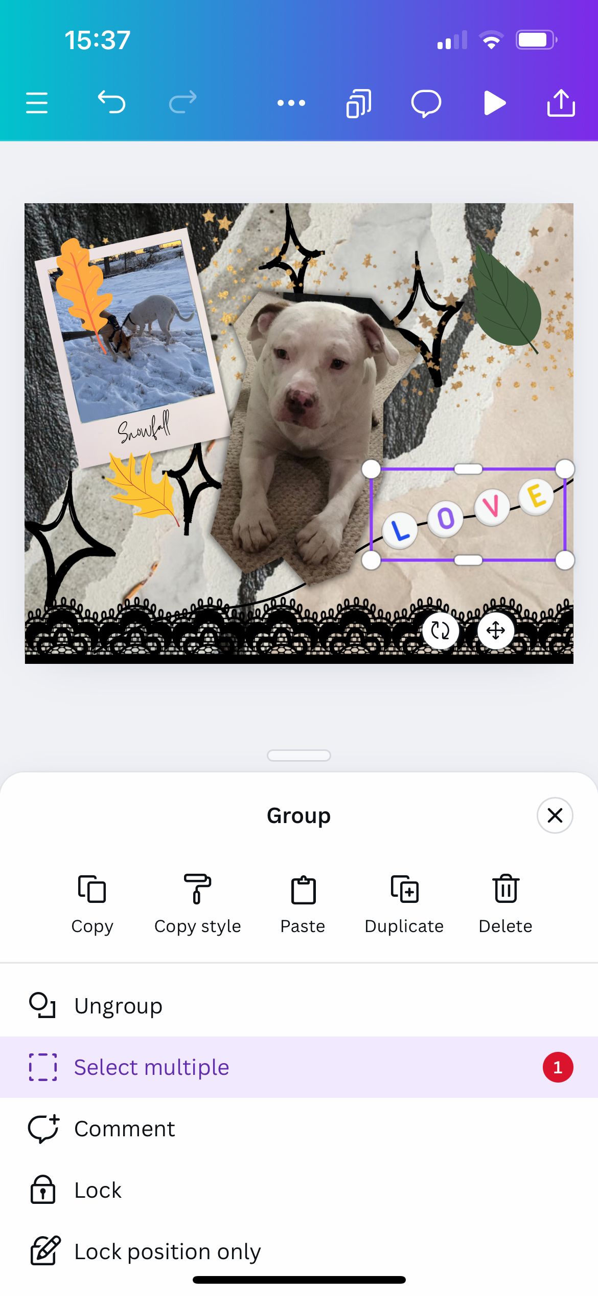 Grouped elements of the Canva app