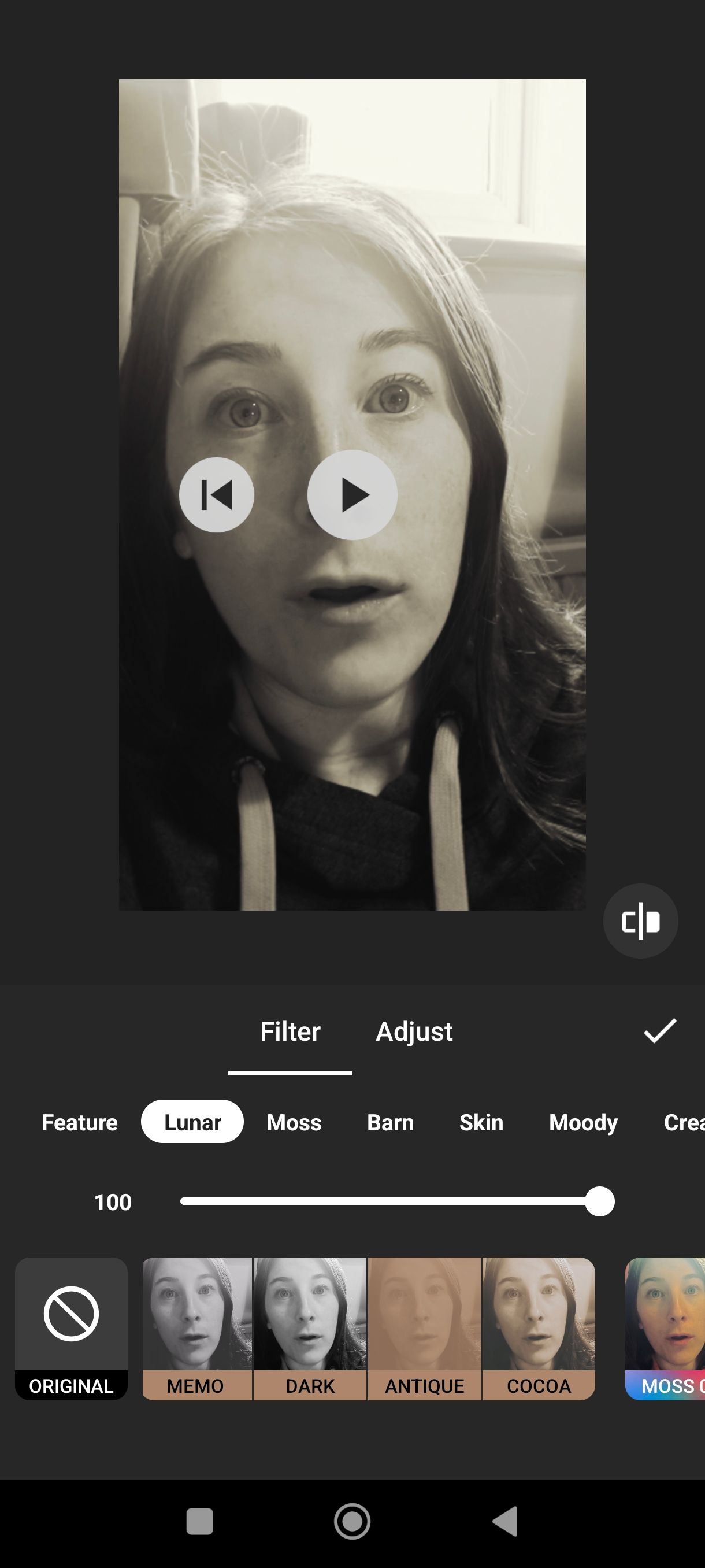 InShot video filters