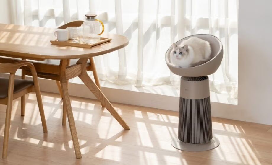 The LG AeroCat Tower with a cat.