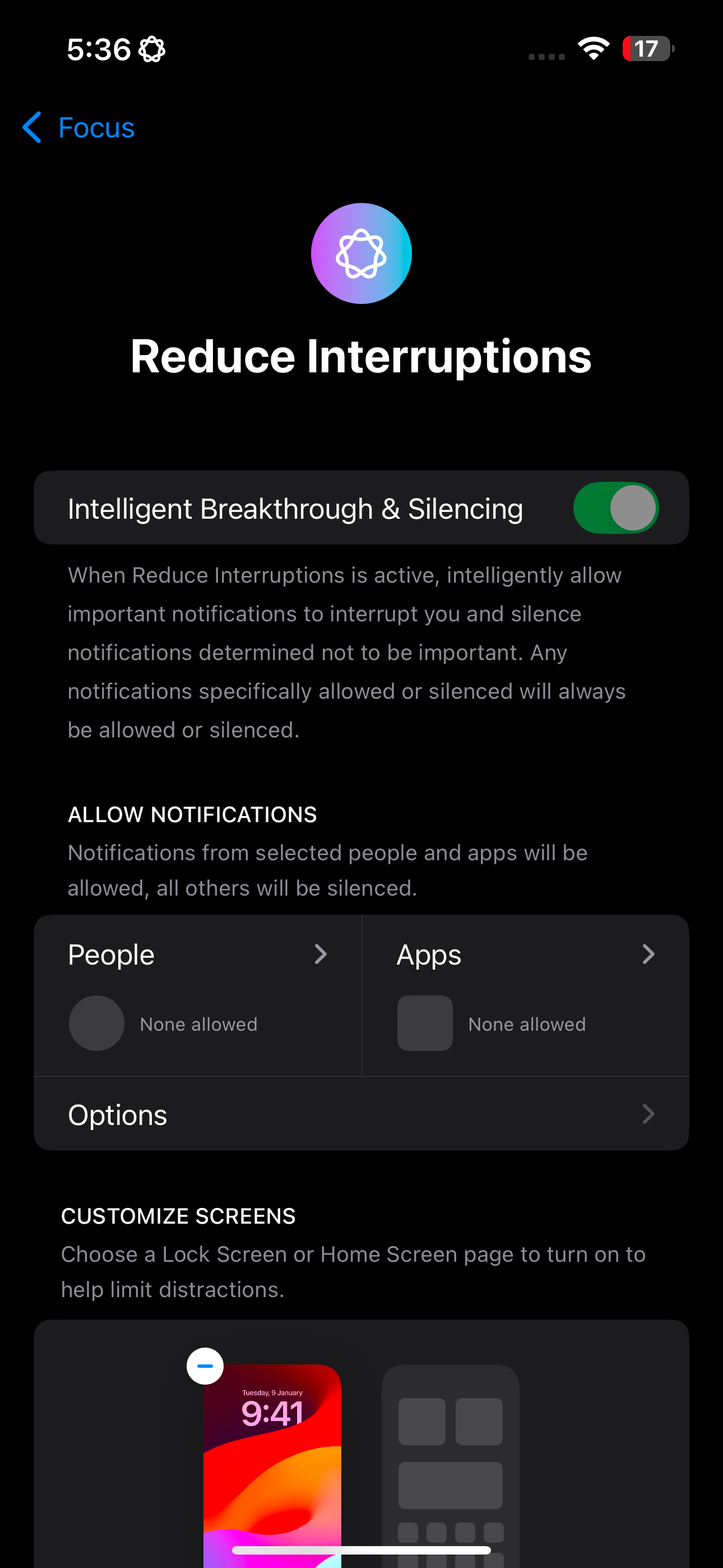 Reduce Interruptions Focus Mode on an iPhone