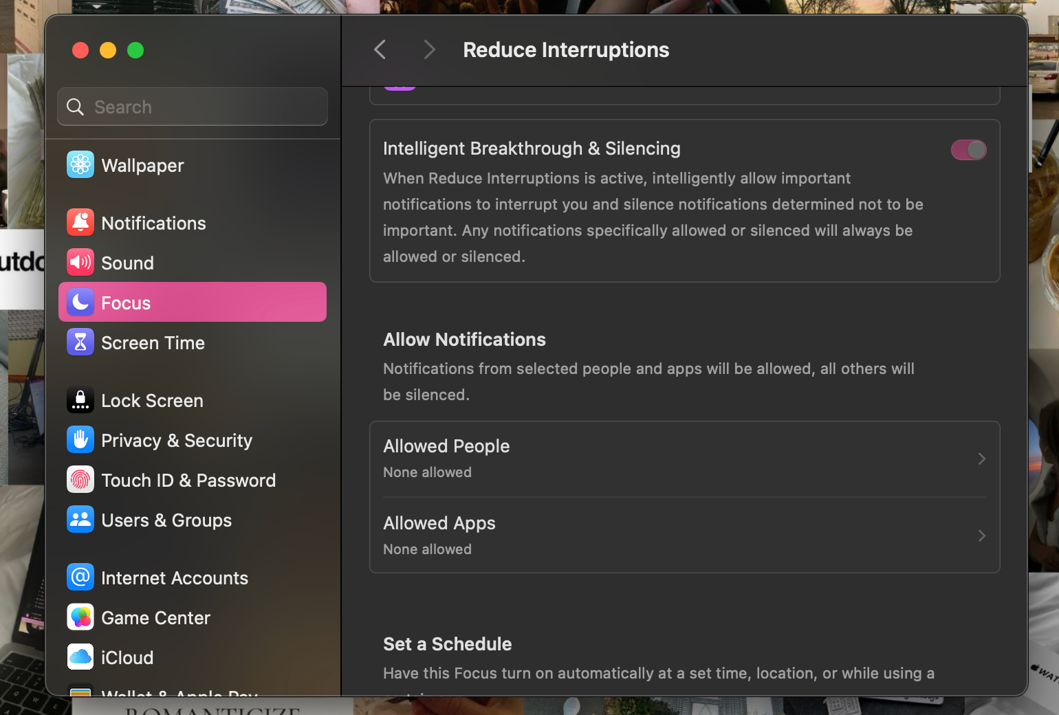 Reduce Interruptions Focus mode settings on Mac