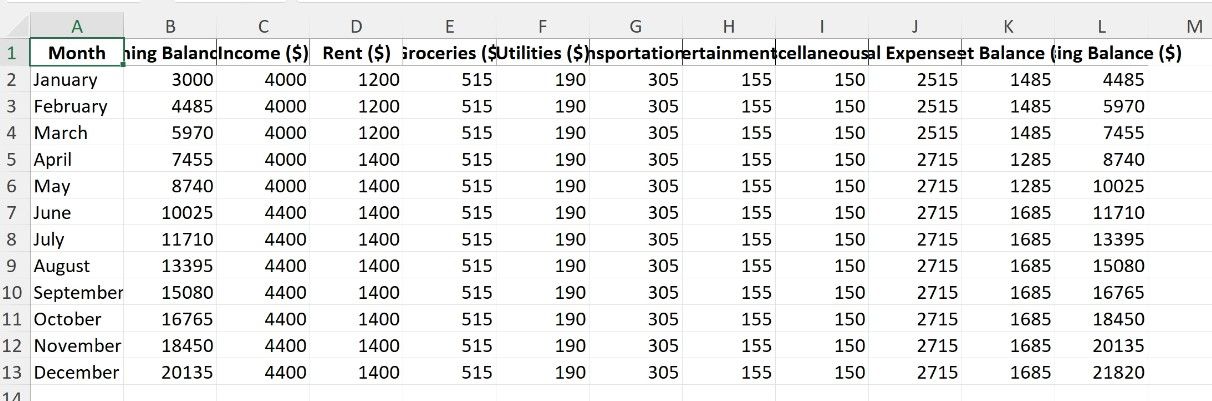 Screenshot of budget table exported as spreadsheet