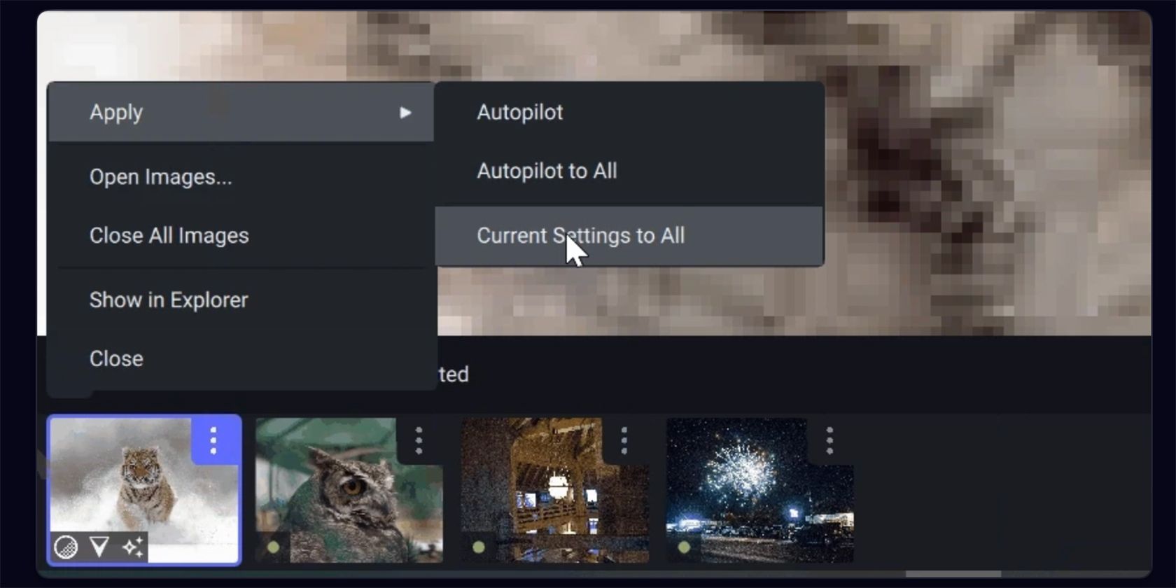 Topaz Autopilot Settings