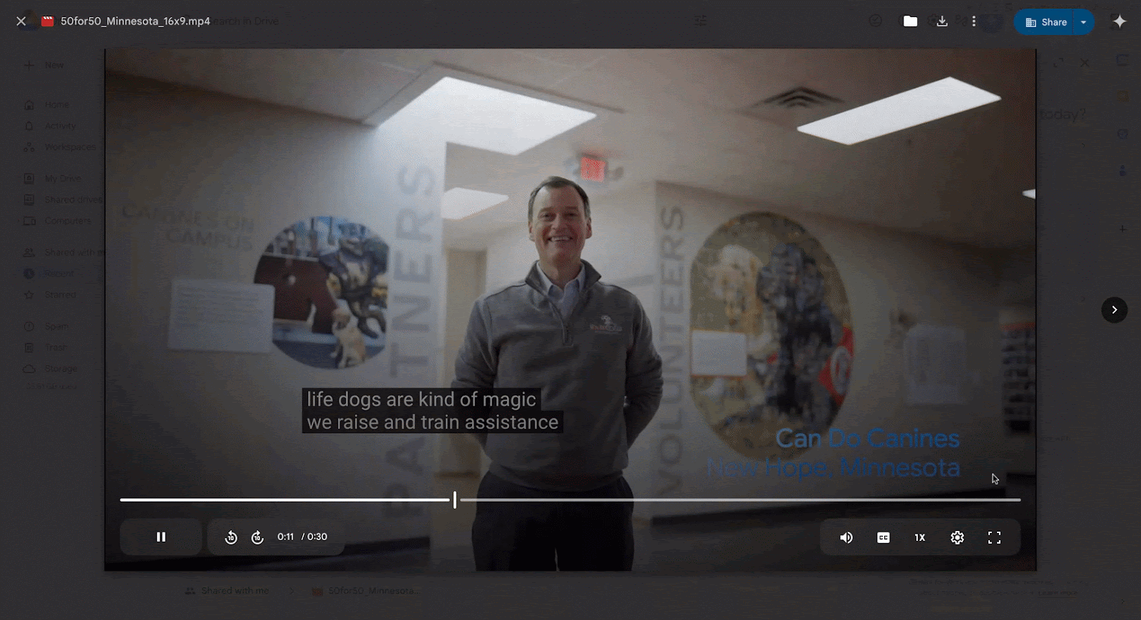 Enhancing video navigation and accessibility with Google Drive video transcripts anim