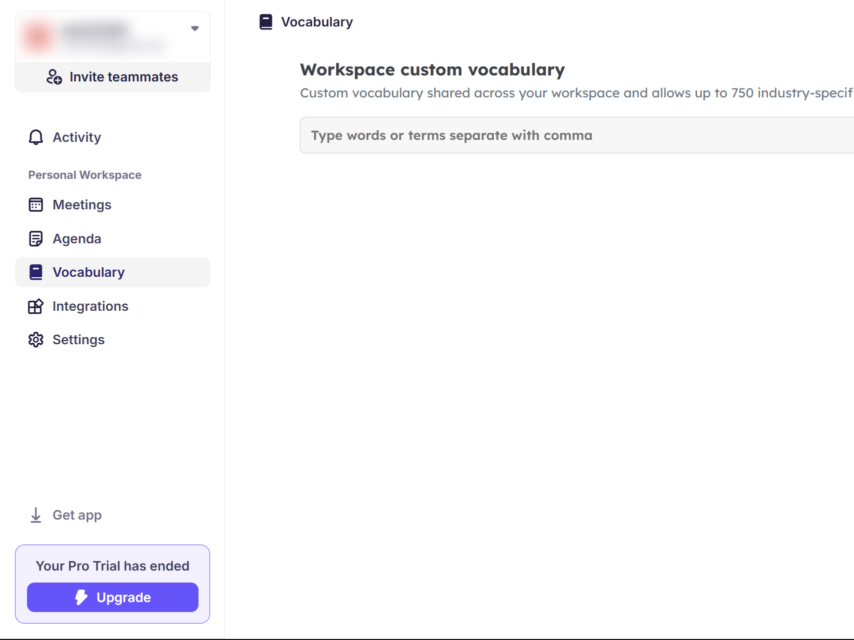 Krisp web app showing custom vocabulary tab