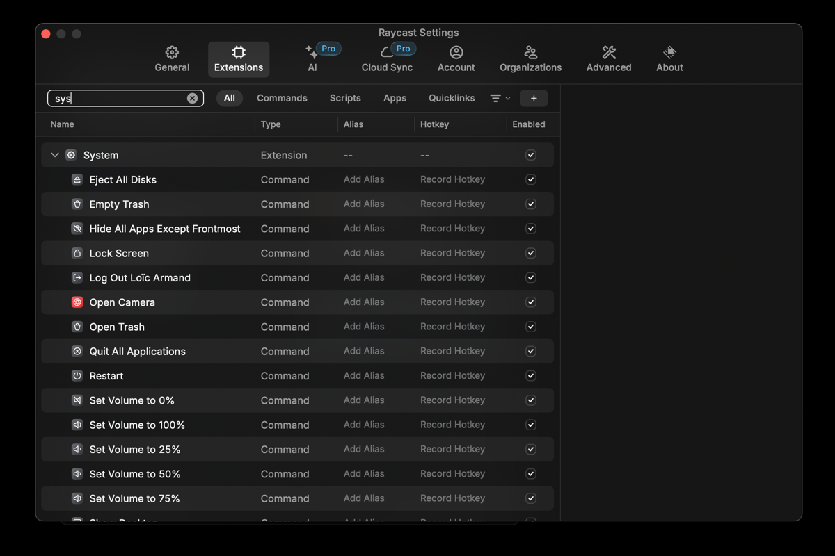 The Raycast settings page