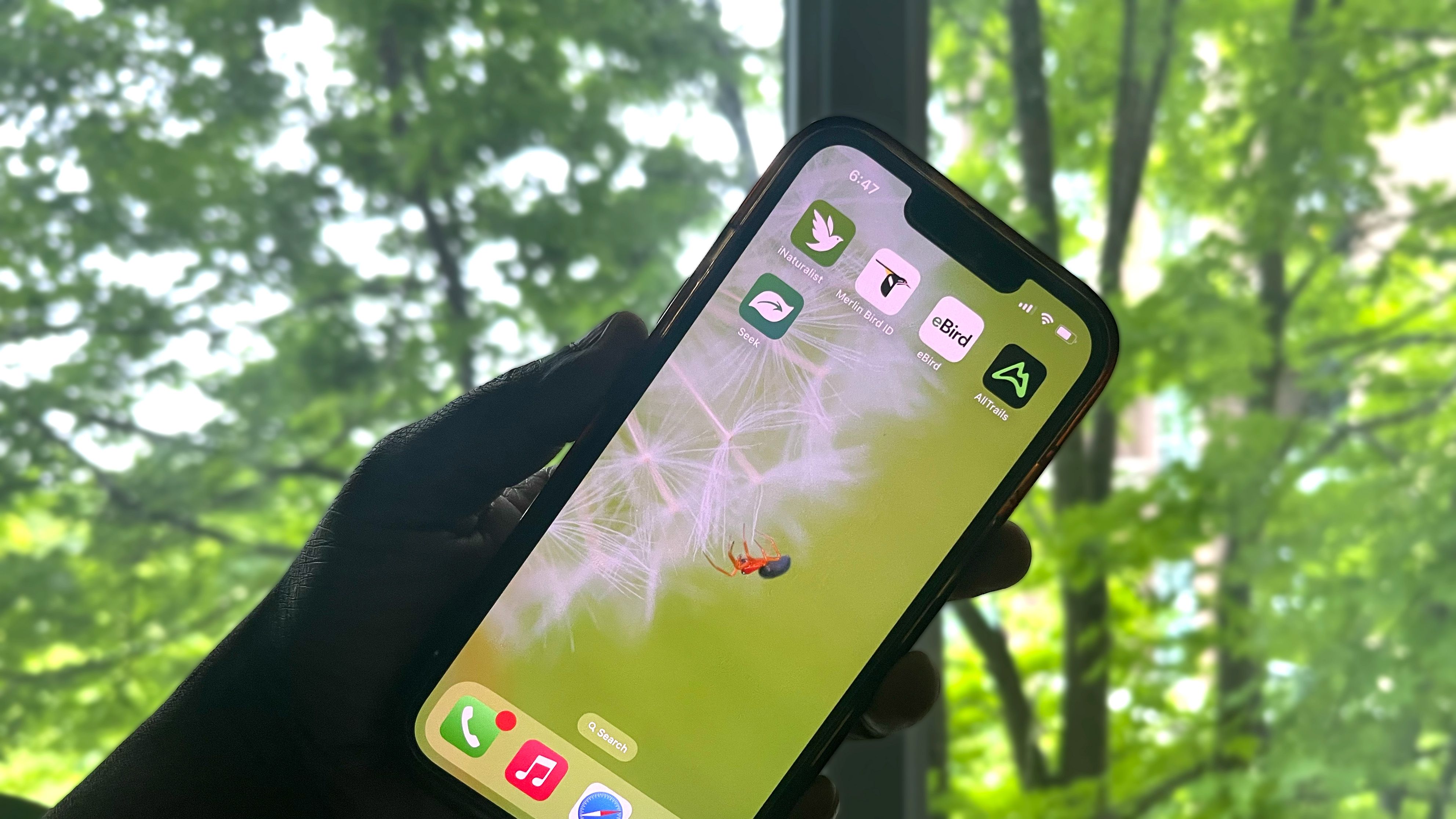 A hand holding an iPhone with nature apps against a backdrop of trees