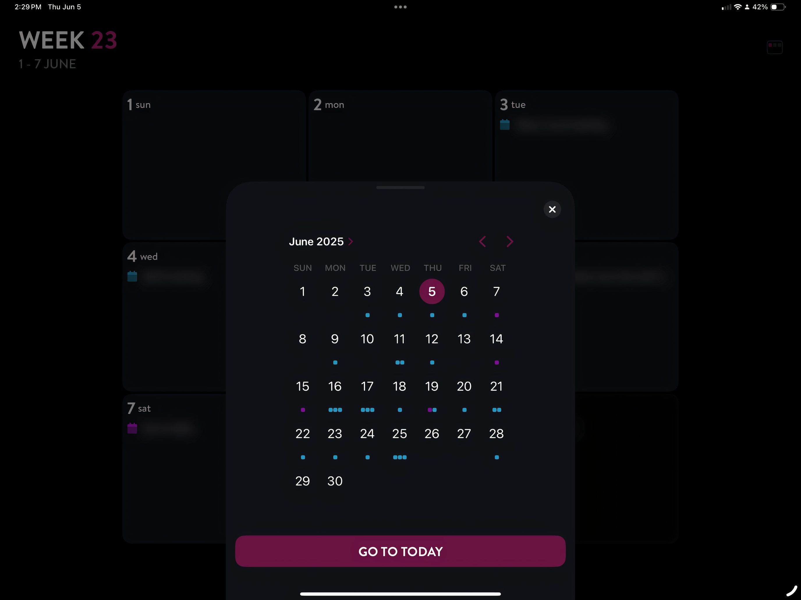 Moleskine Planner app for iPad