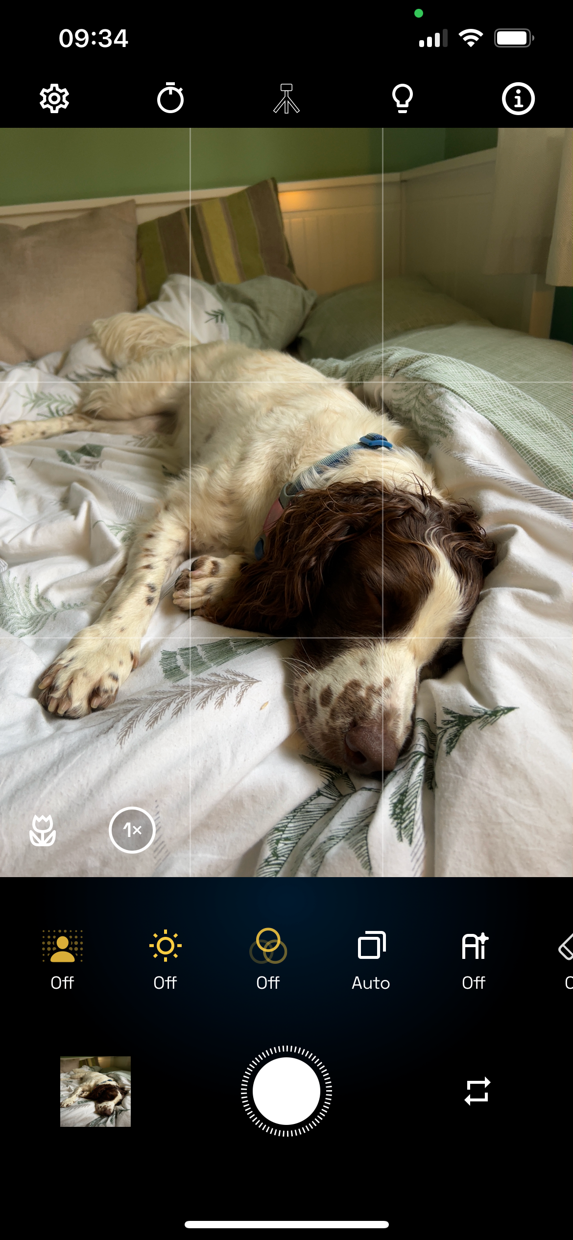 تنظیمات NeuralCam با عکس سگ