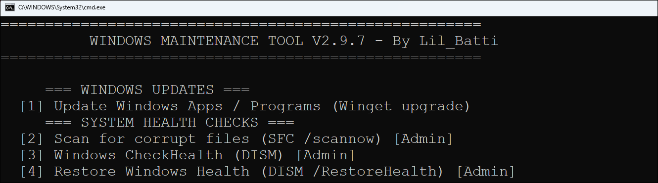 System Health Checks options in the Windows Maintenance Tool 