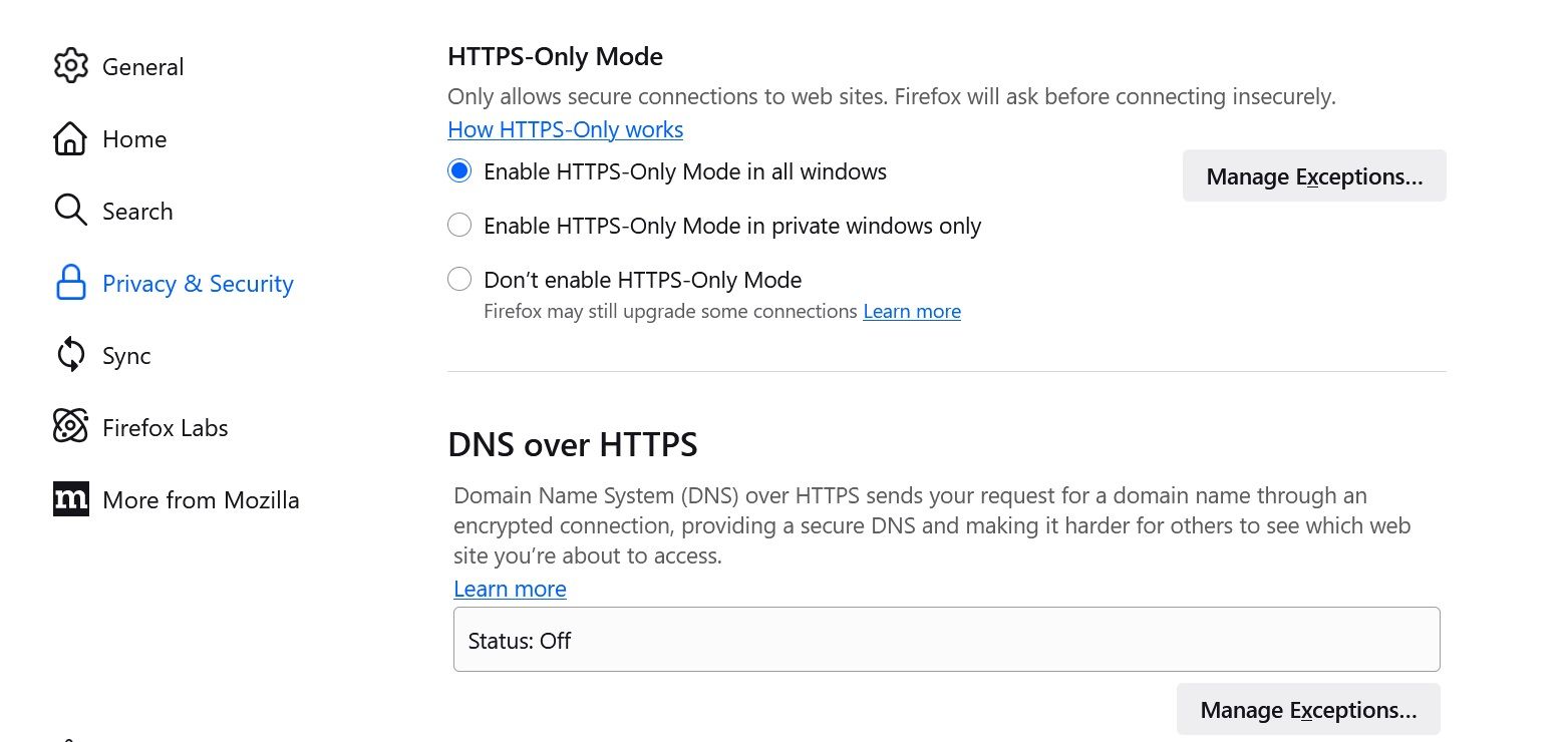 enable https only mode in firefox.