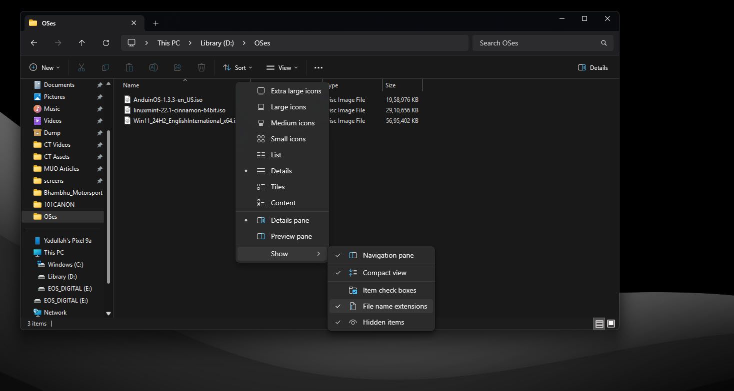 File name extensions option in File Explorer