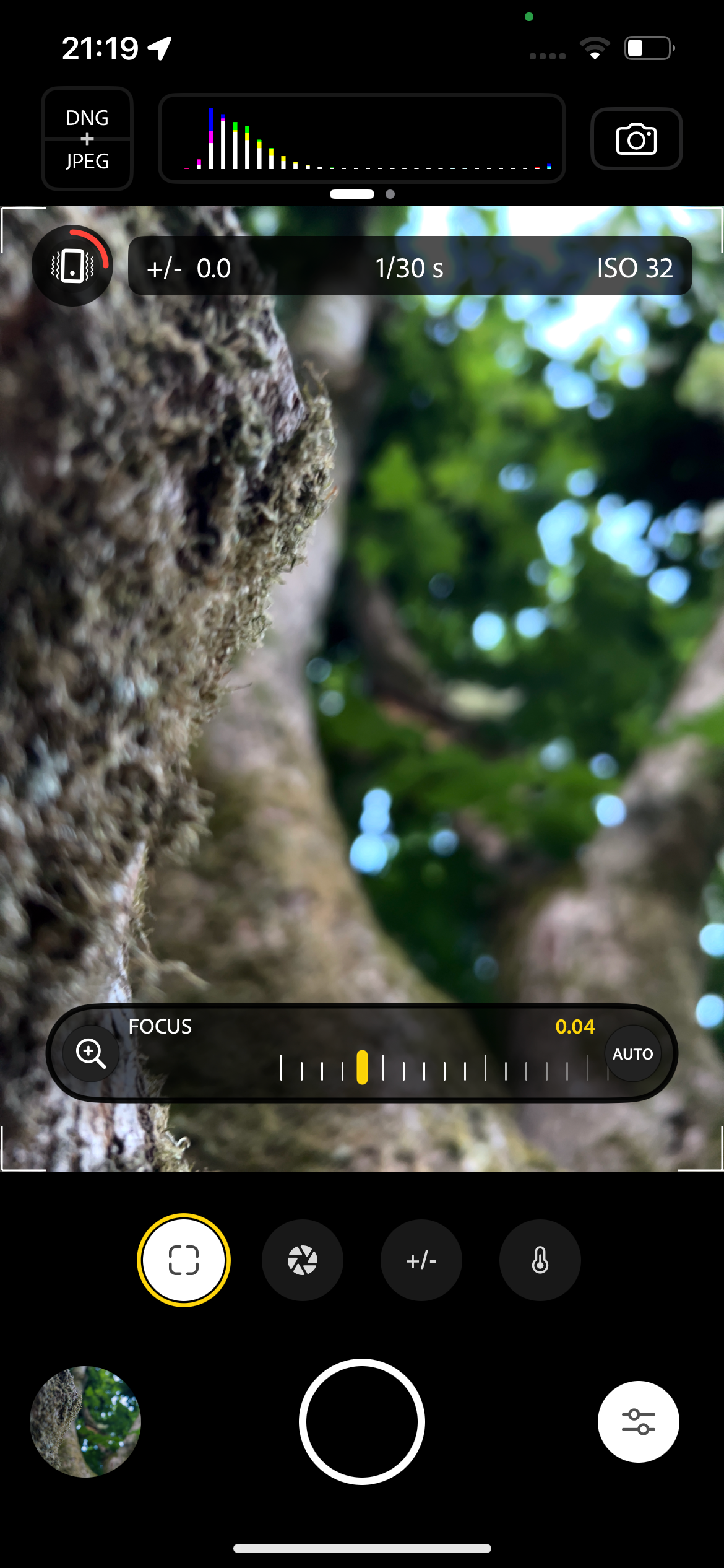 Project Indigo app with focus mode on a tree 