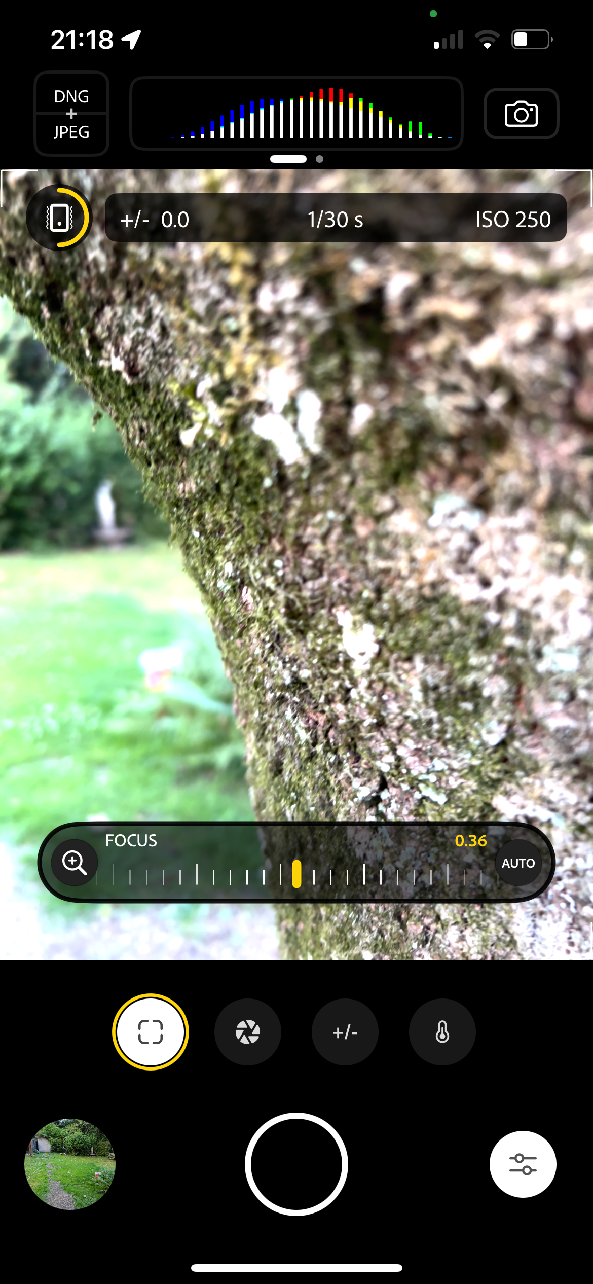 Project Indigo app with focus mode on a tree 