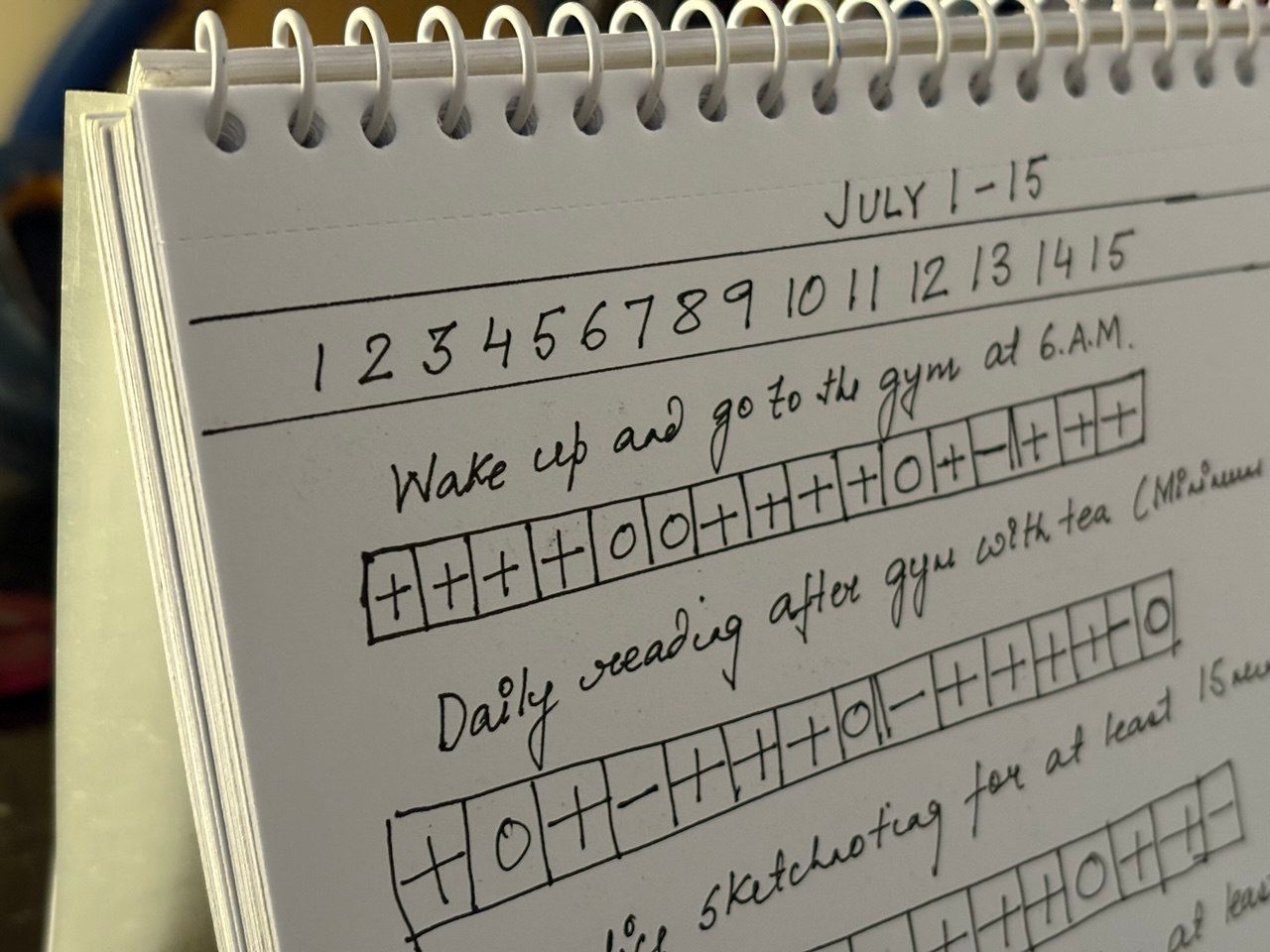 Habit Tracker Analog System Standing View