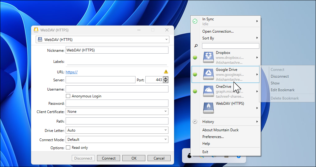 Mountain Duck Open Connection dialog open in Windows 11 desktop