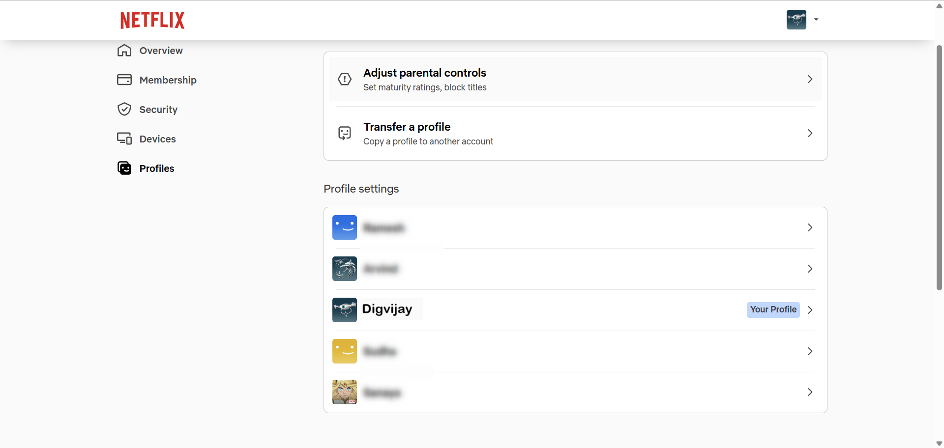 Netflix Profile Settings