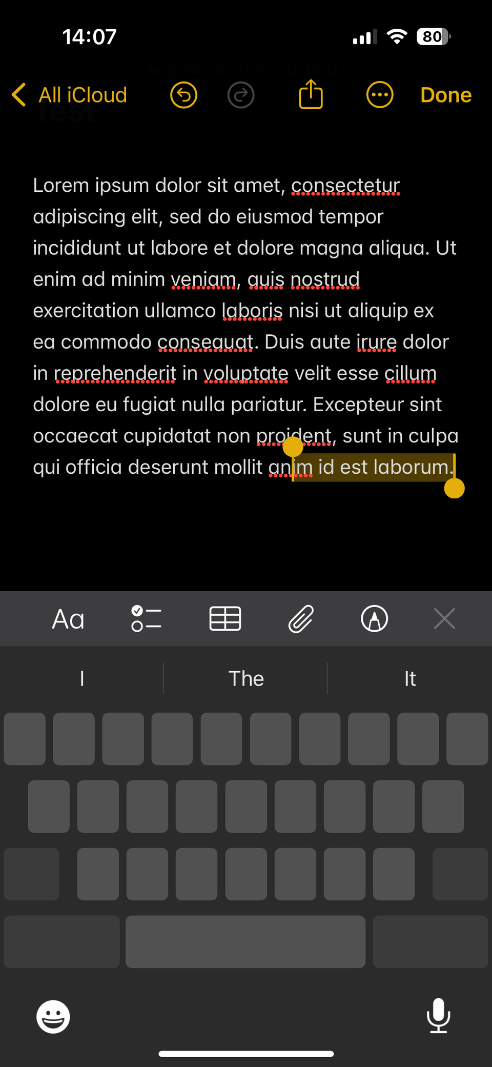 iPhone Trackpad Selecting Some Text