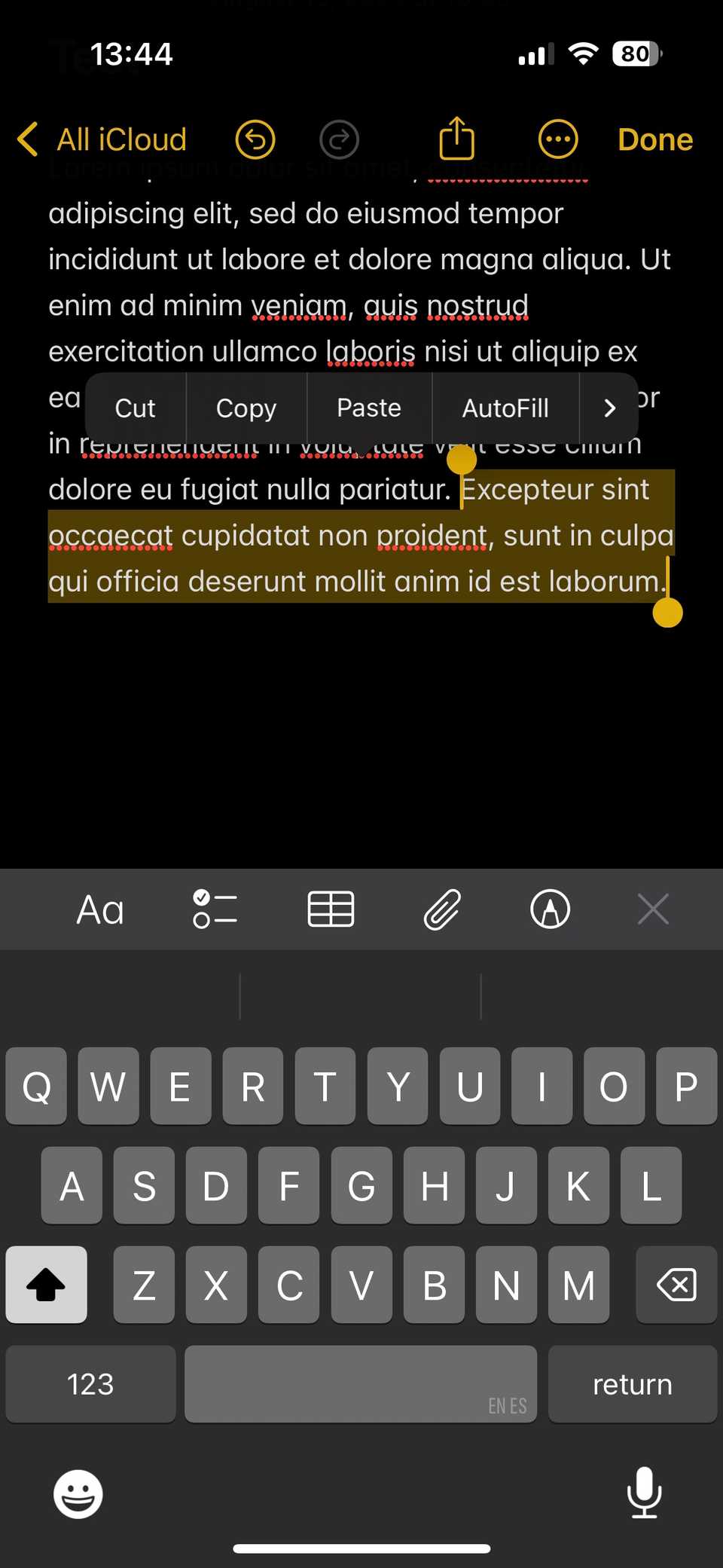 iPhone Trackpad Selecting A Lot of Text