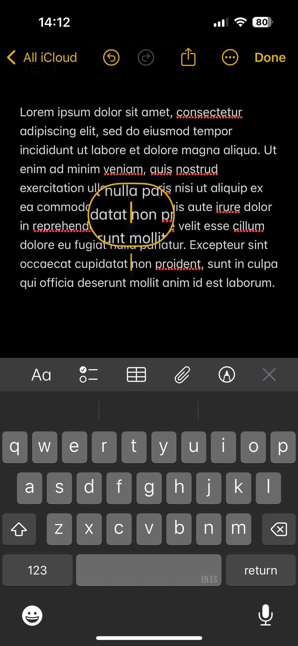 iPhone Magnify Text Selection