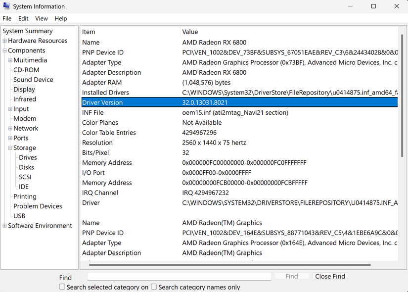 Display driver version highlighted in Windows system information