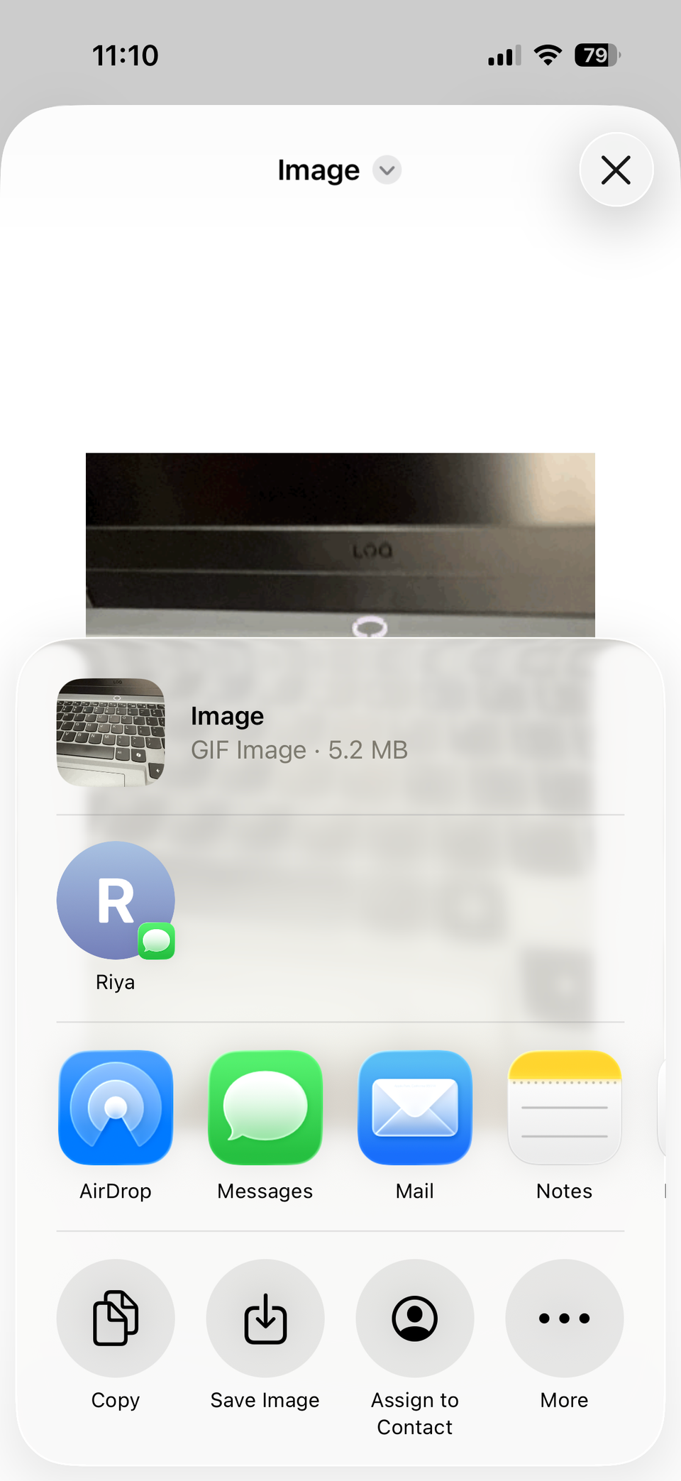GIF share menu on iPhone