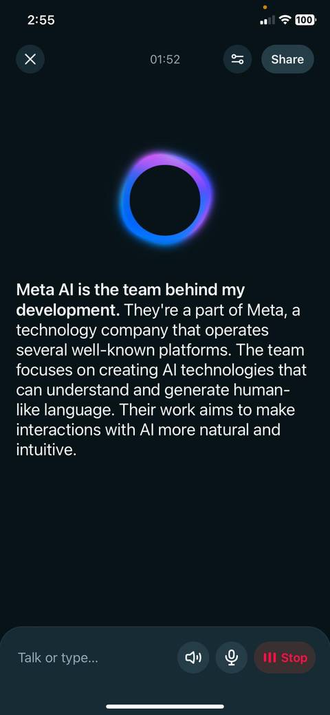 Meta AI voice chat briefly explaining what Meta AI is