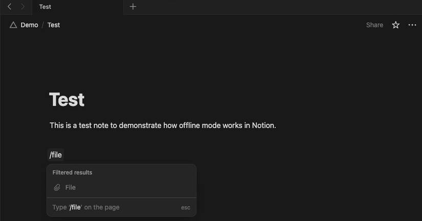 File block unavailable in Notion in offline mode.