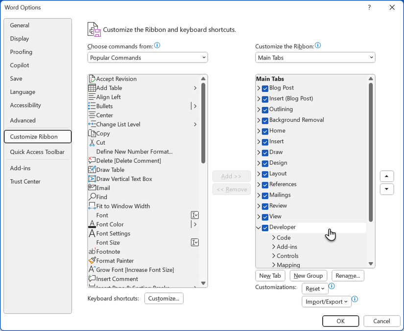 Word Options for Developer Tab