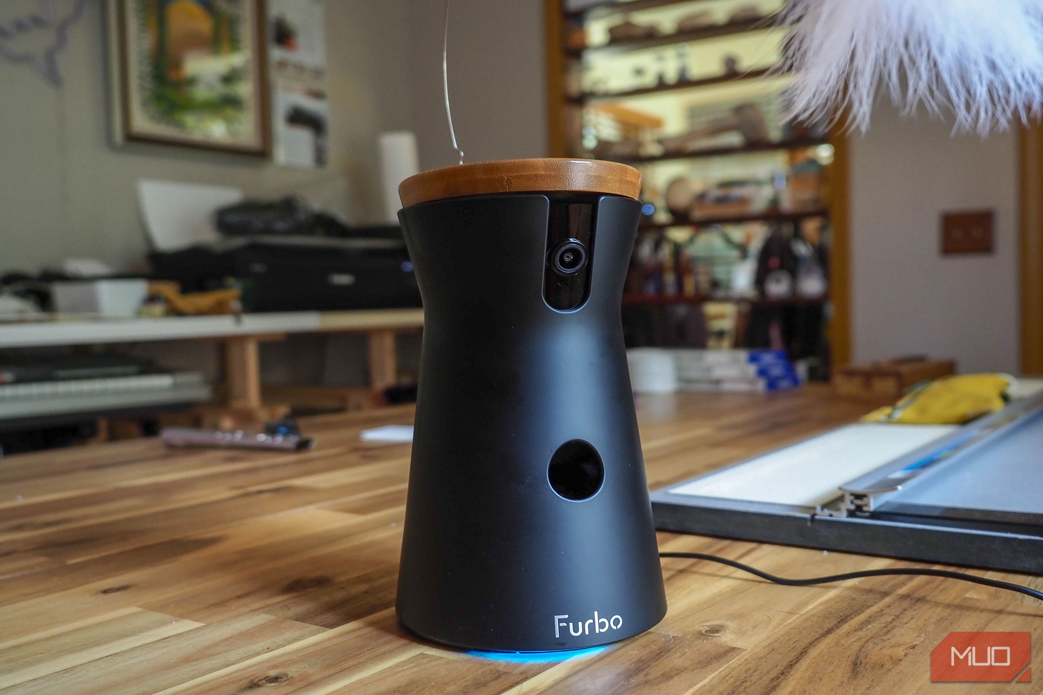 Furbo 360 cat camera featured image