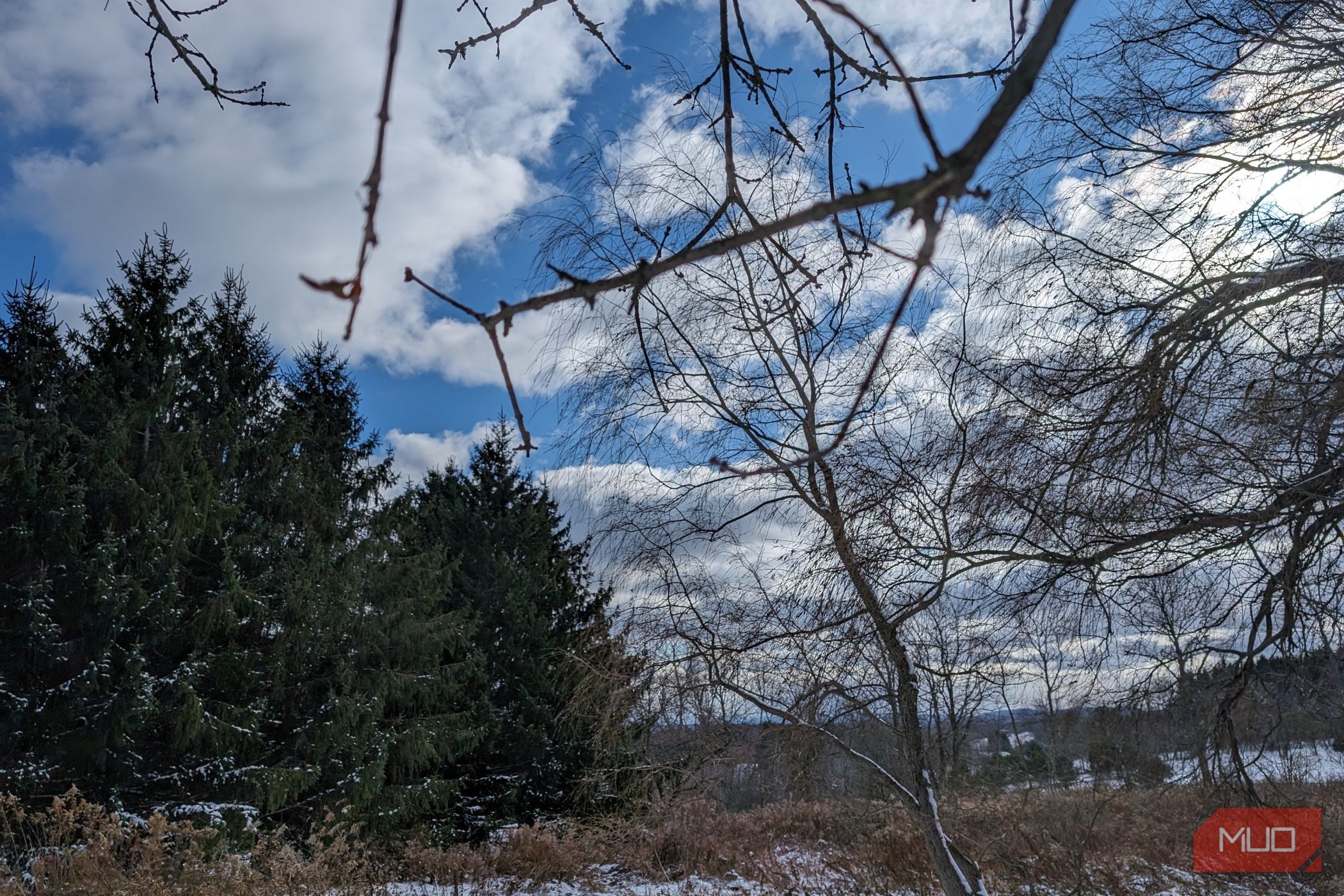 Photo of an outdoor winter scene taken with the Google Pixel 8