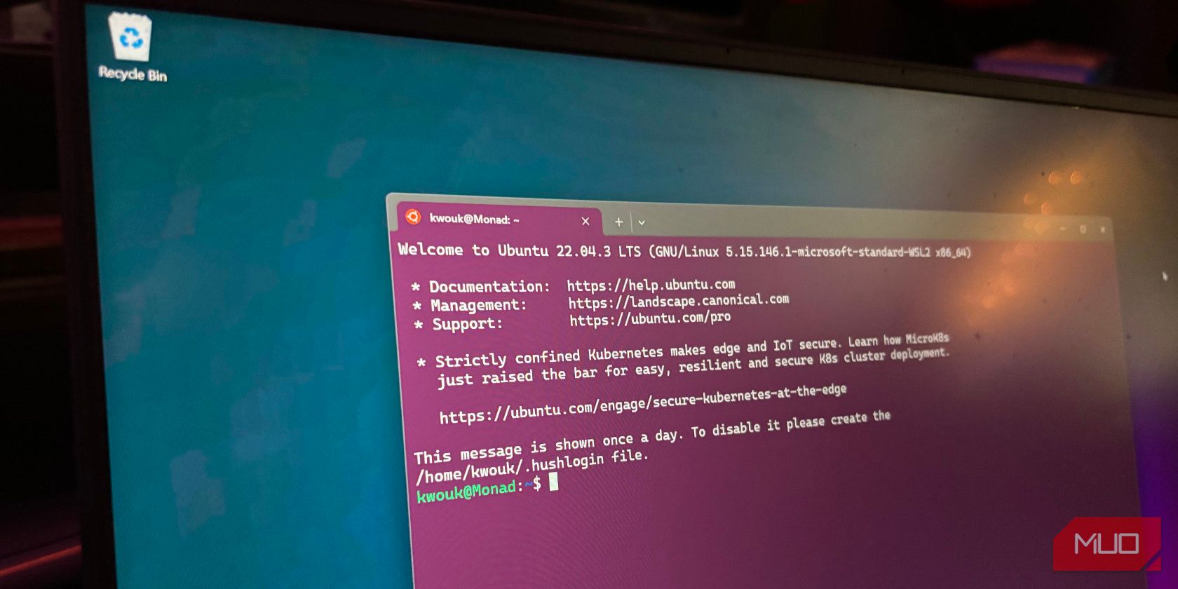 Ubuntu running via the Windows Subsystem for Linux