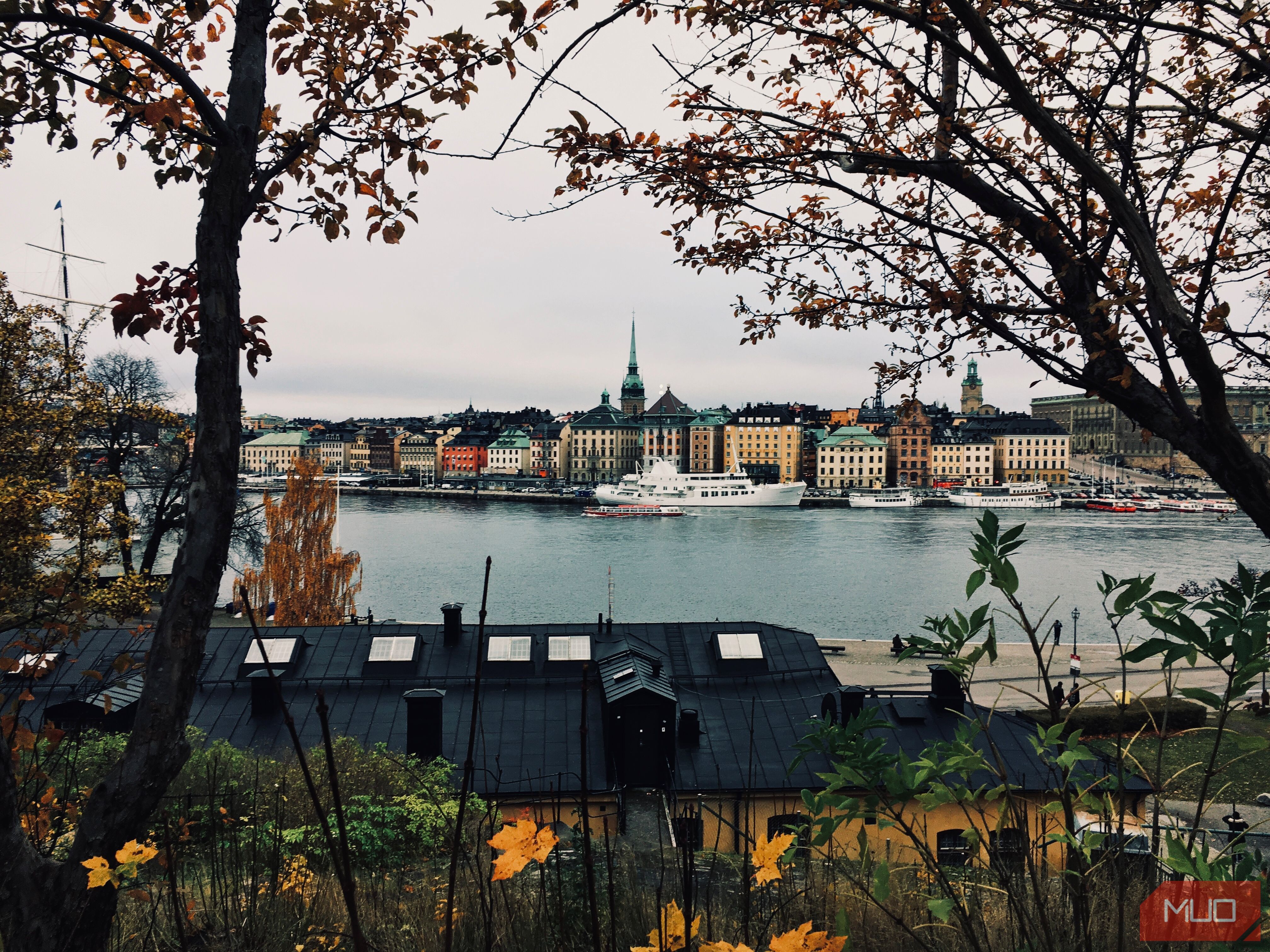 Photo of a city skyline photographed through trees