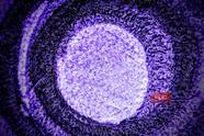 Anyone Can Take Interesting Abstract Photos On Their Smartphone Here s How