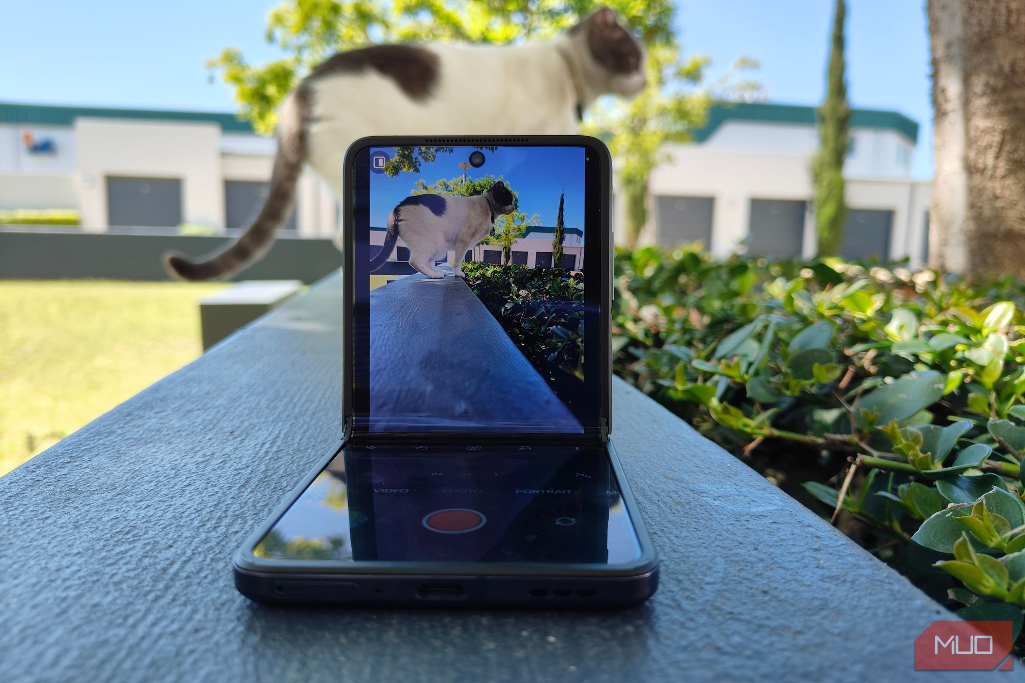 the Oppo N2 Flip half folded with the camera pointed at a cat