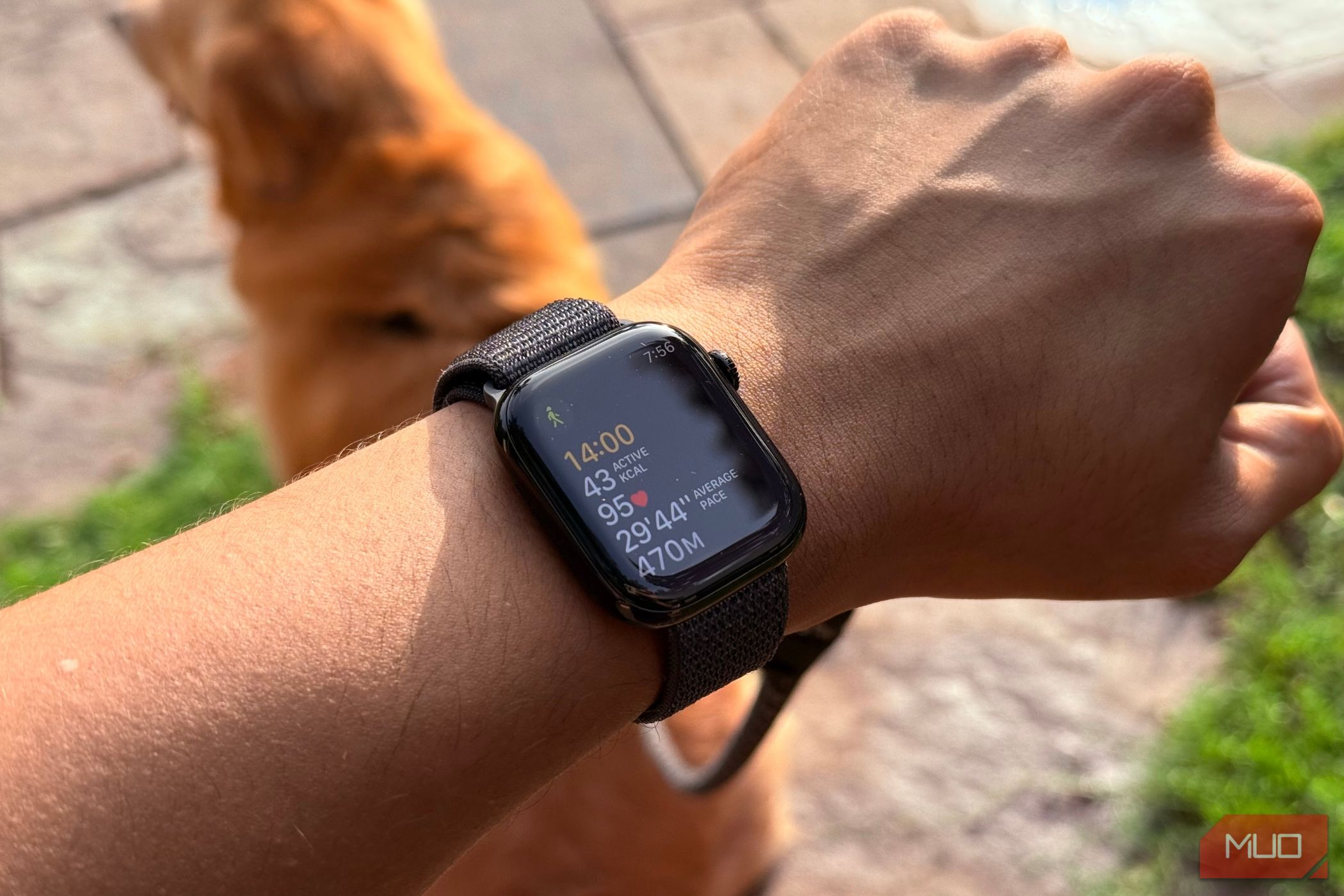 Apple Watch on a man's wrist and a workout app displaying stats