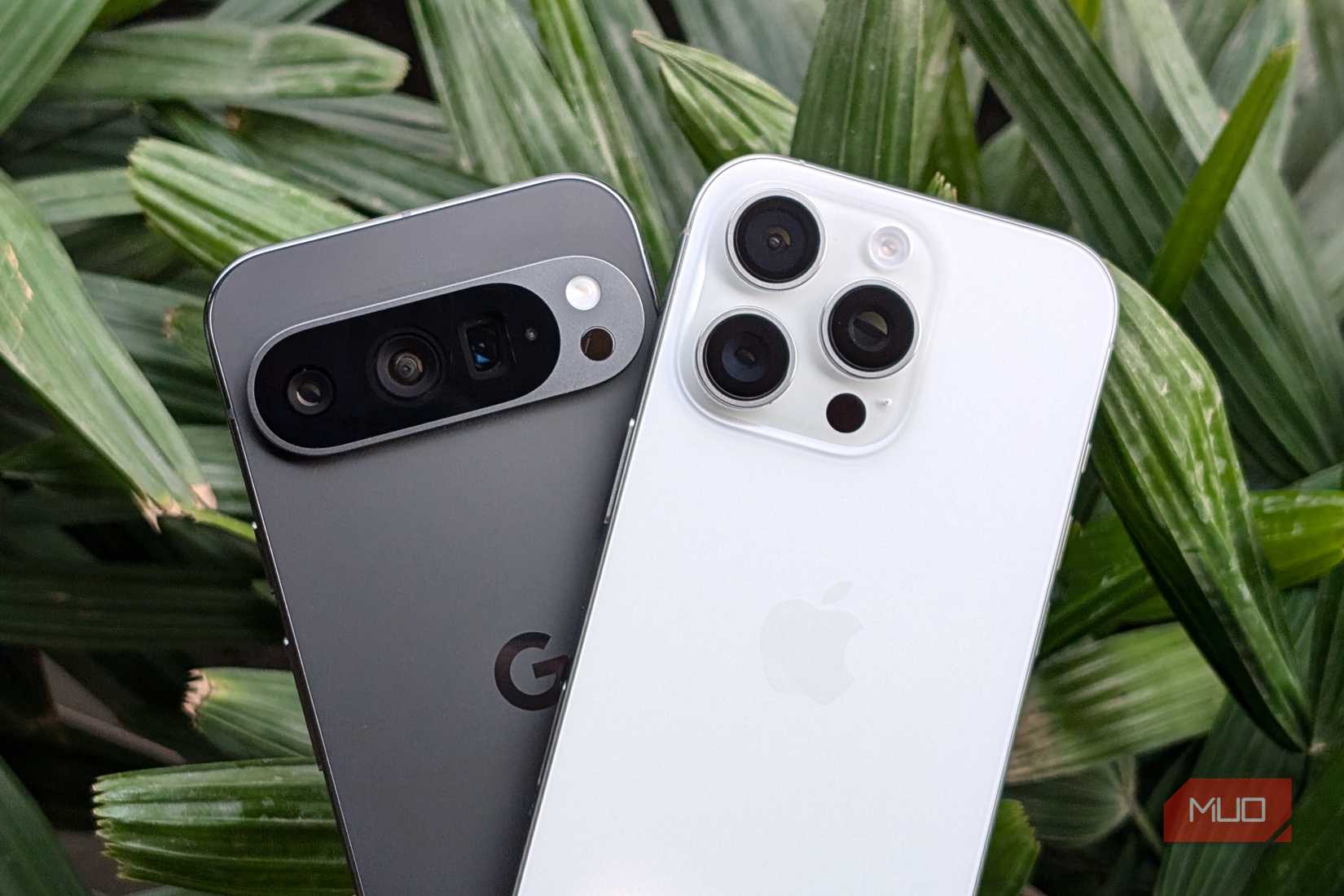 Pixel 9 Pro and iPhone 16 Pro in front of a plant