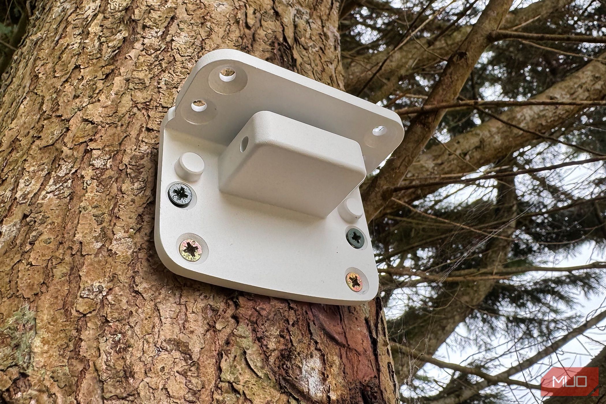 Reolink Atlas PT Ultra mounting bracket screwed into a tree. 