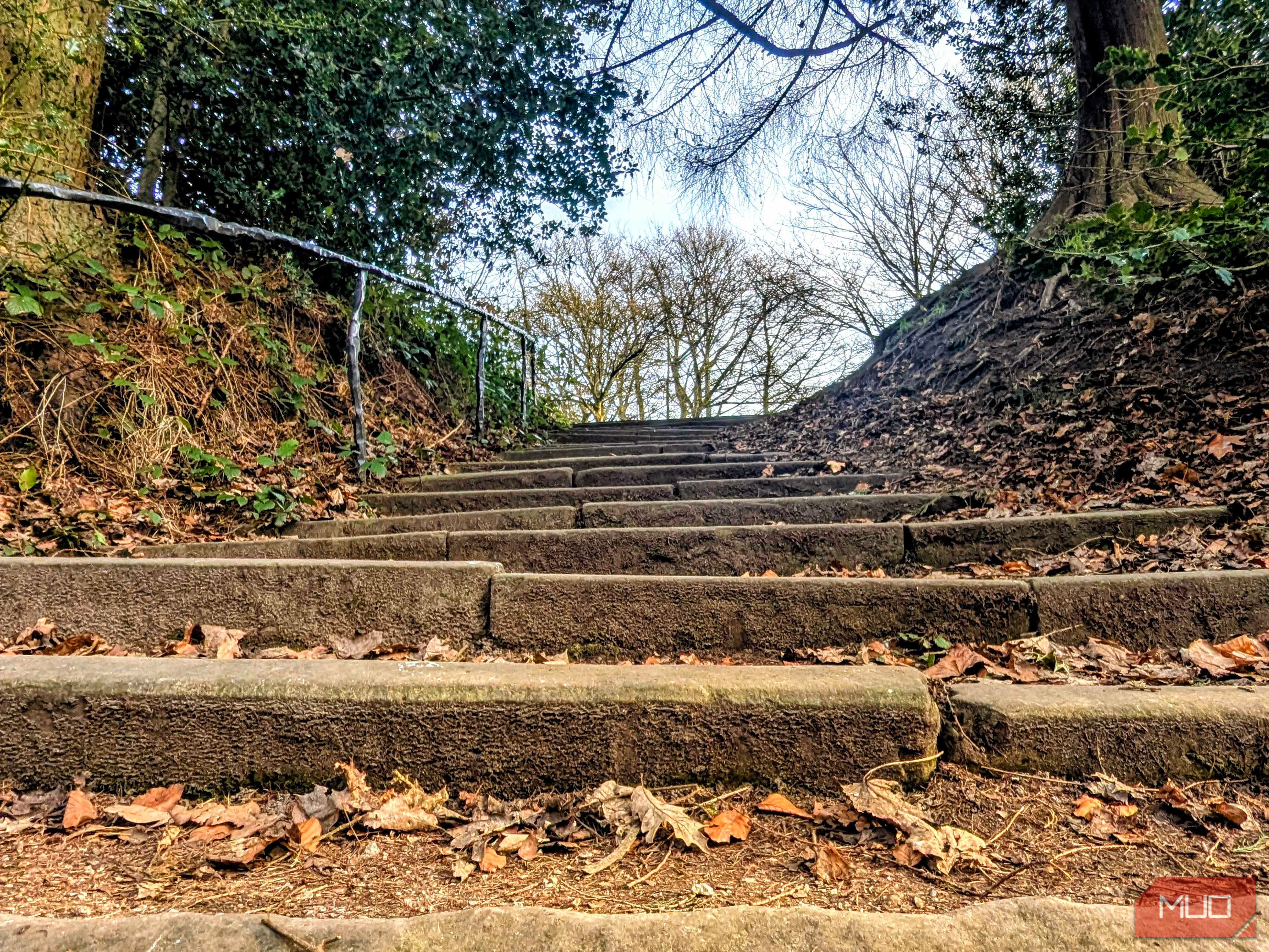 A low-angle shot of some steps in the park