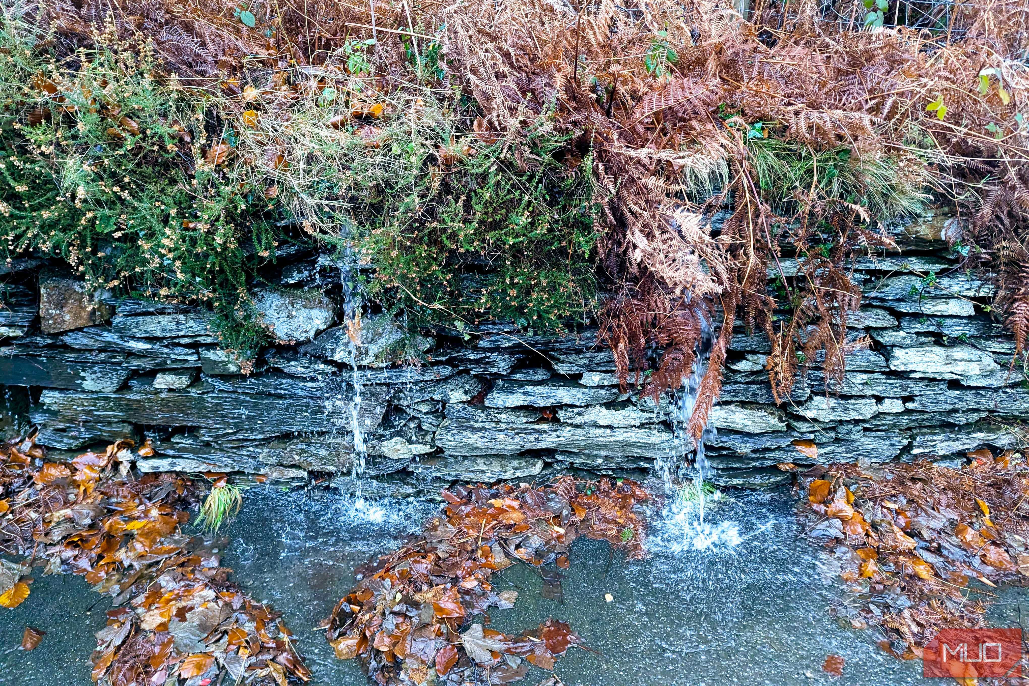 rainy-day-photos-splashes.jpg