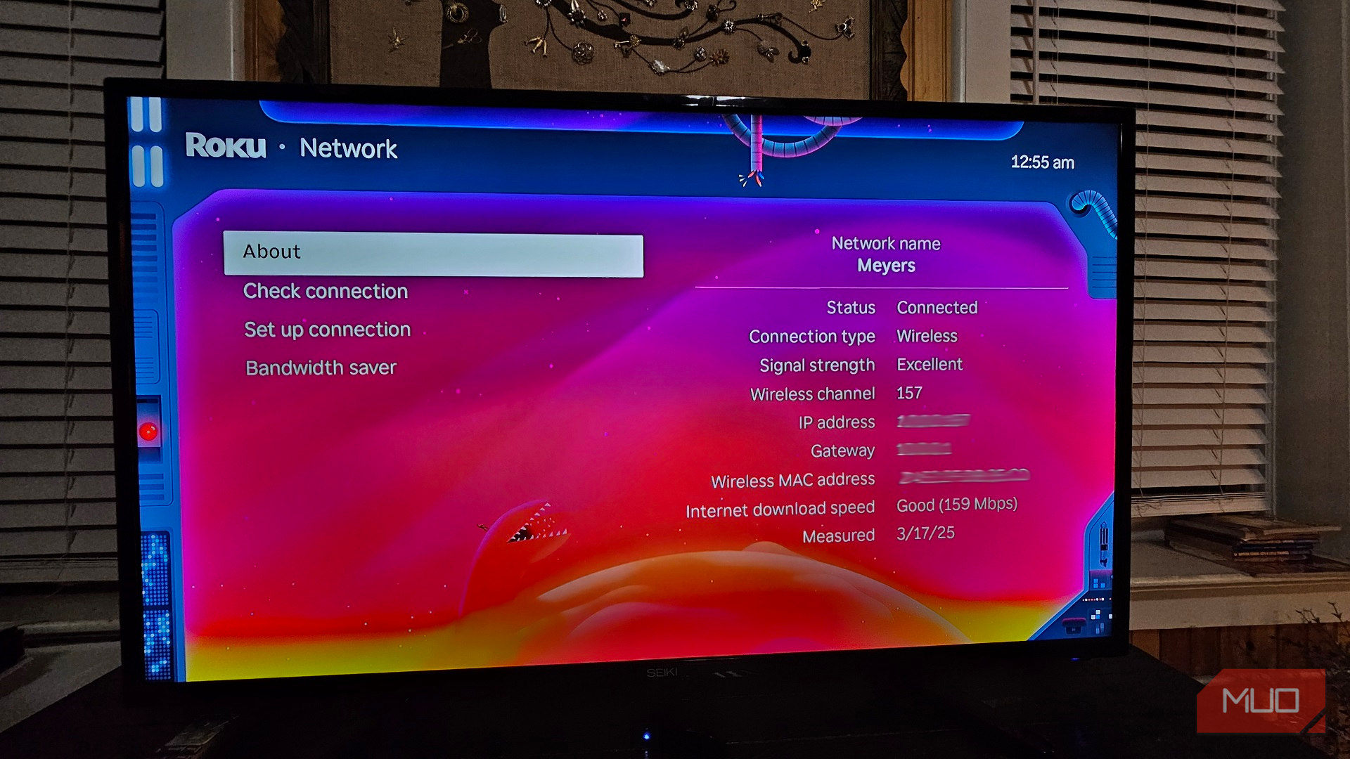 Roku Network menu, revealing IP address, MAC address, download speeds, and gateway