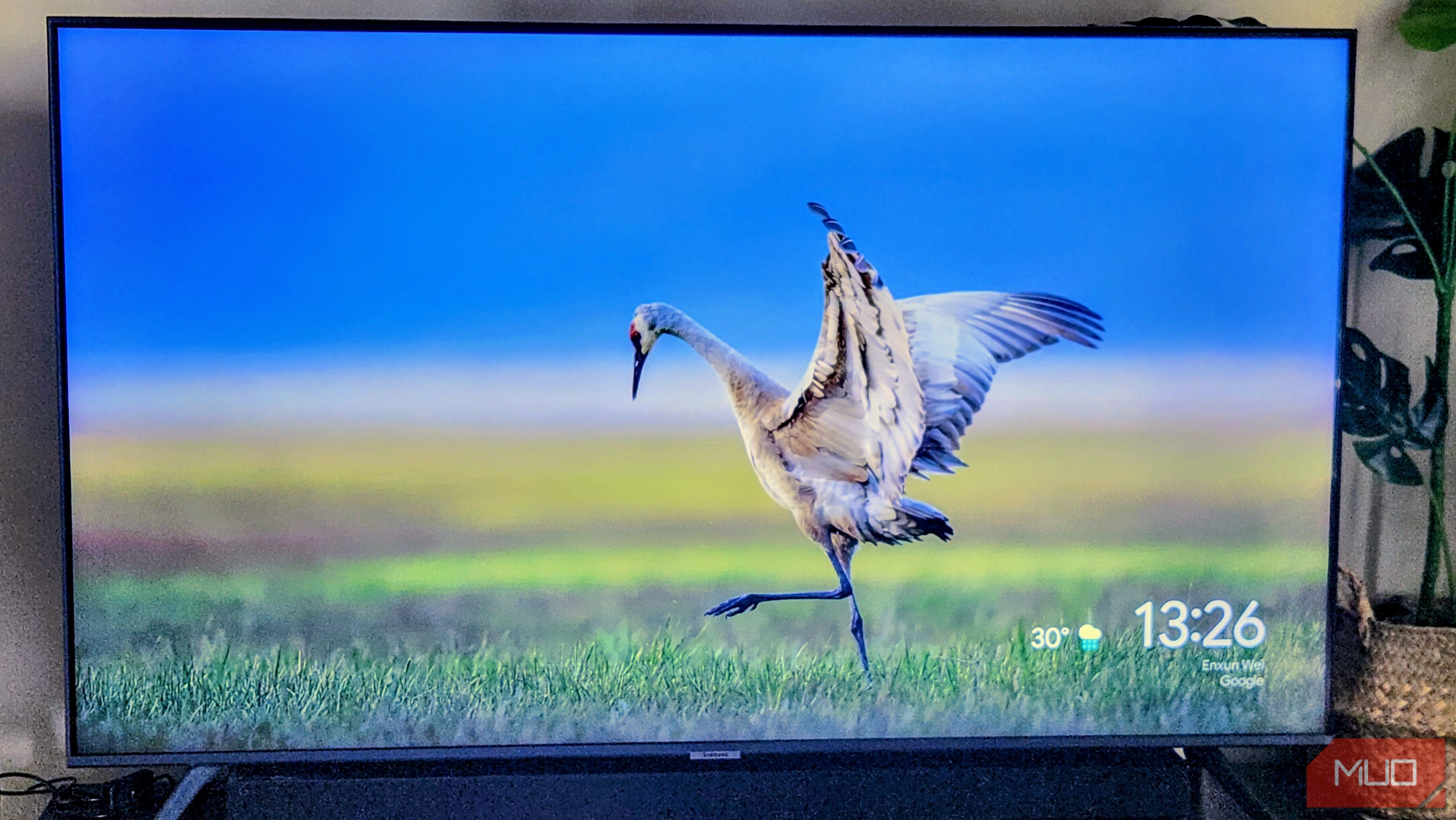 The Chromecast interface on a TV