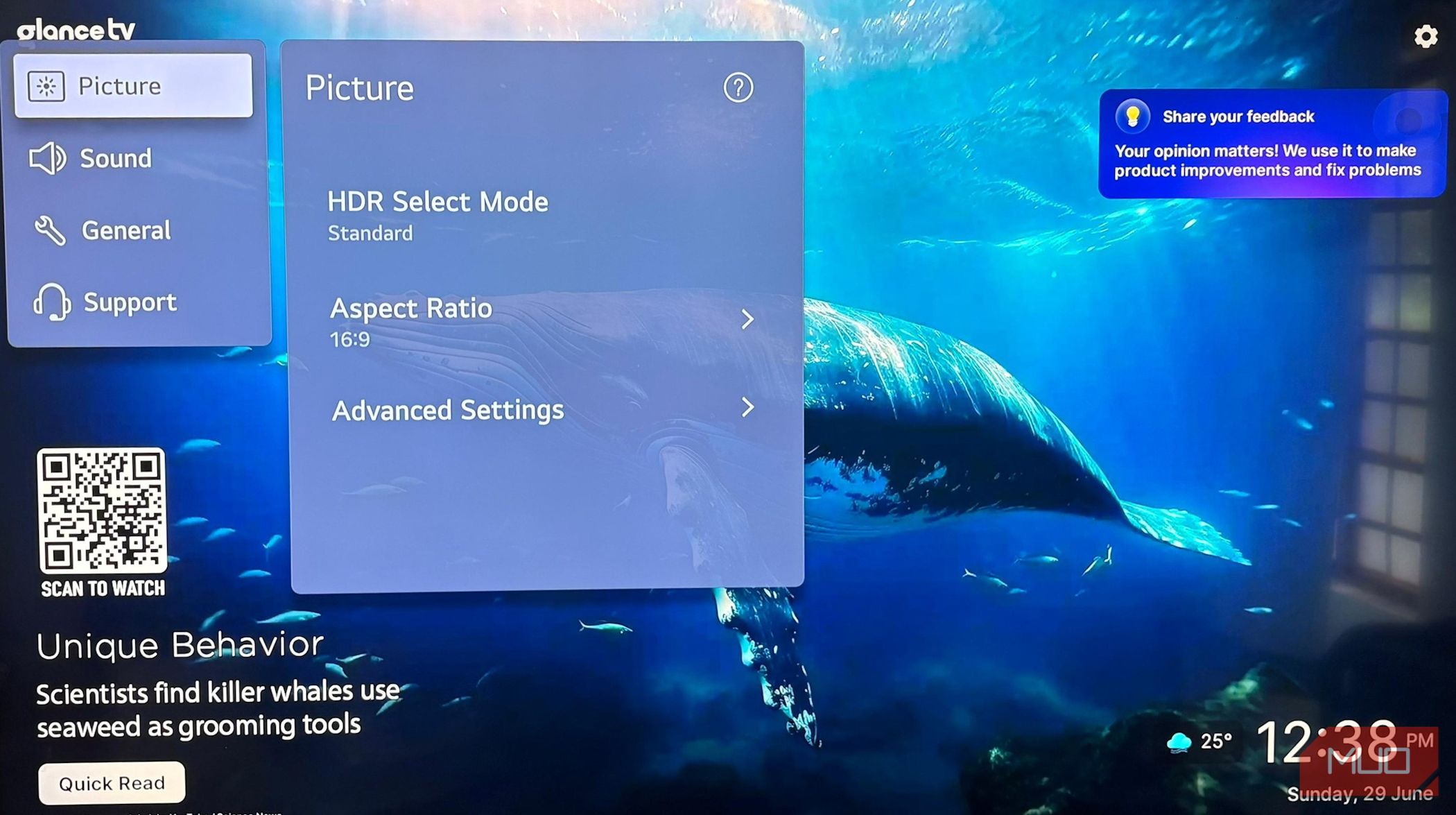 Switching to an HDR-Friendly Picture Mode