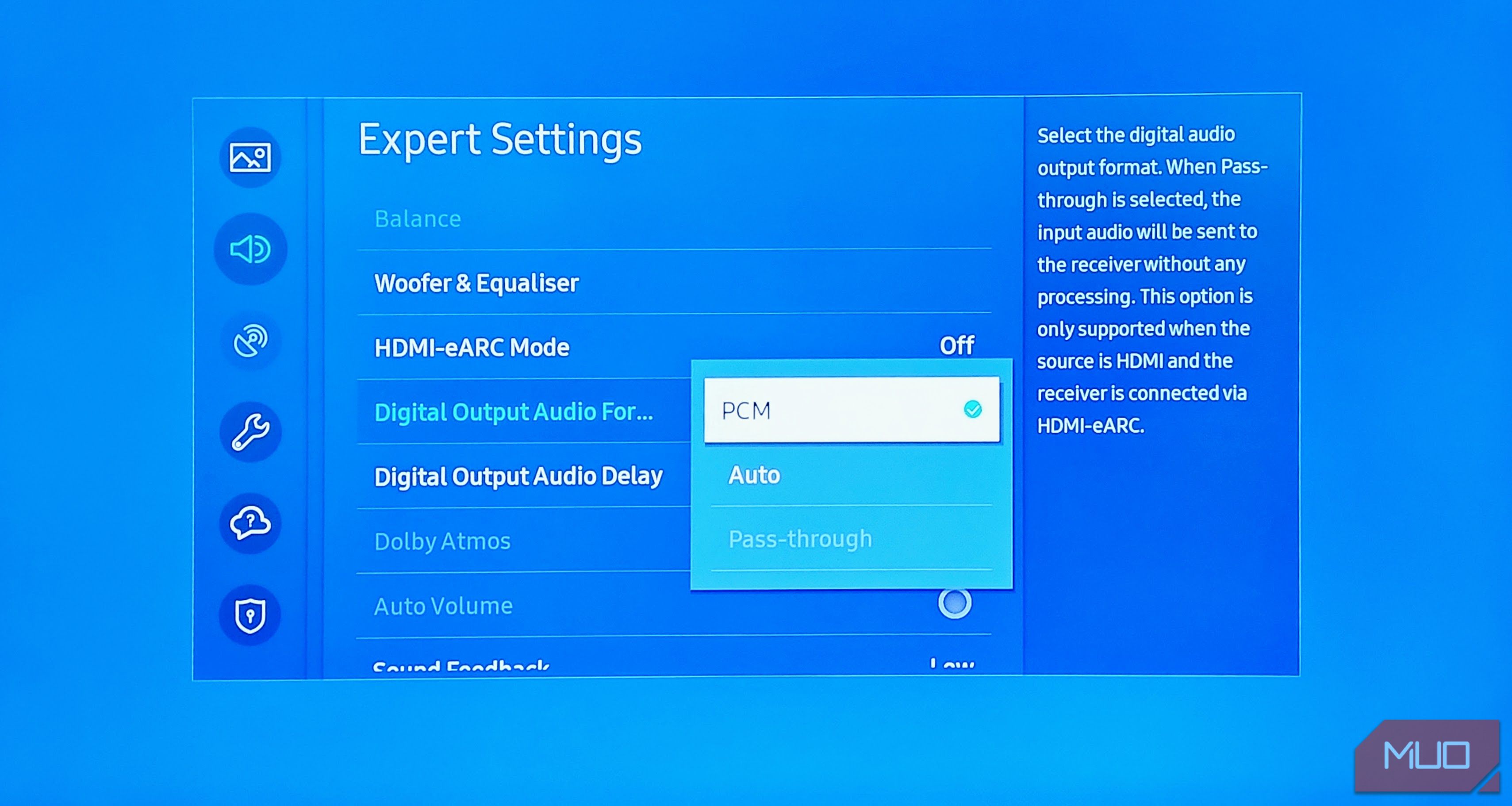 The Audio Format settings on a Samsung TV.