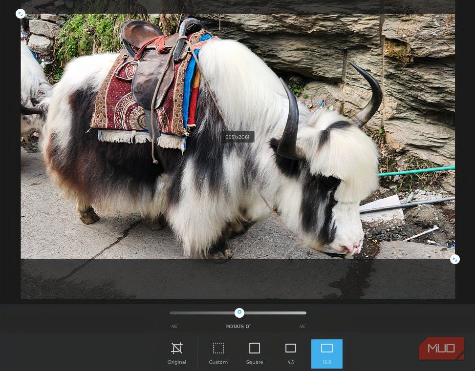 Desktop image editing with Amazon Photos.
