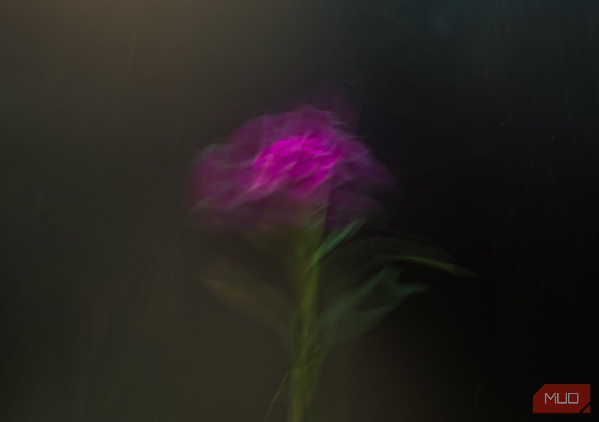 A purple flower photo taken with double exposure technique