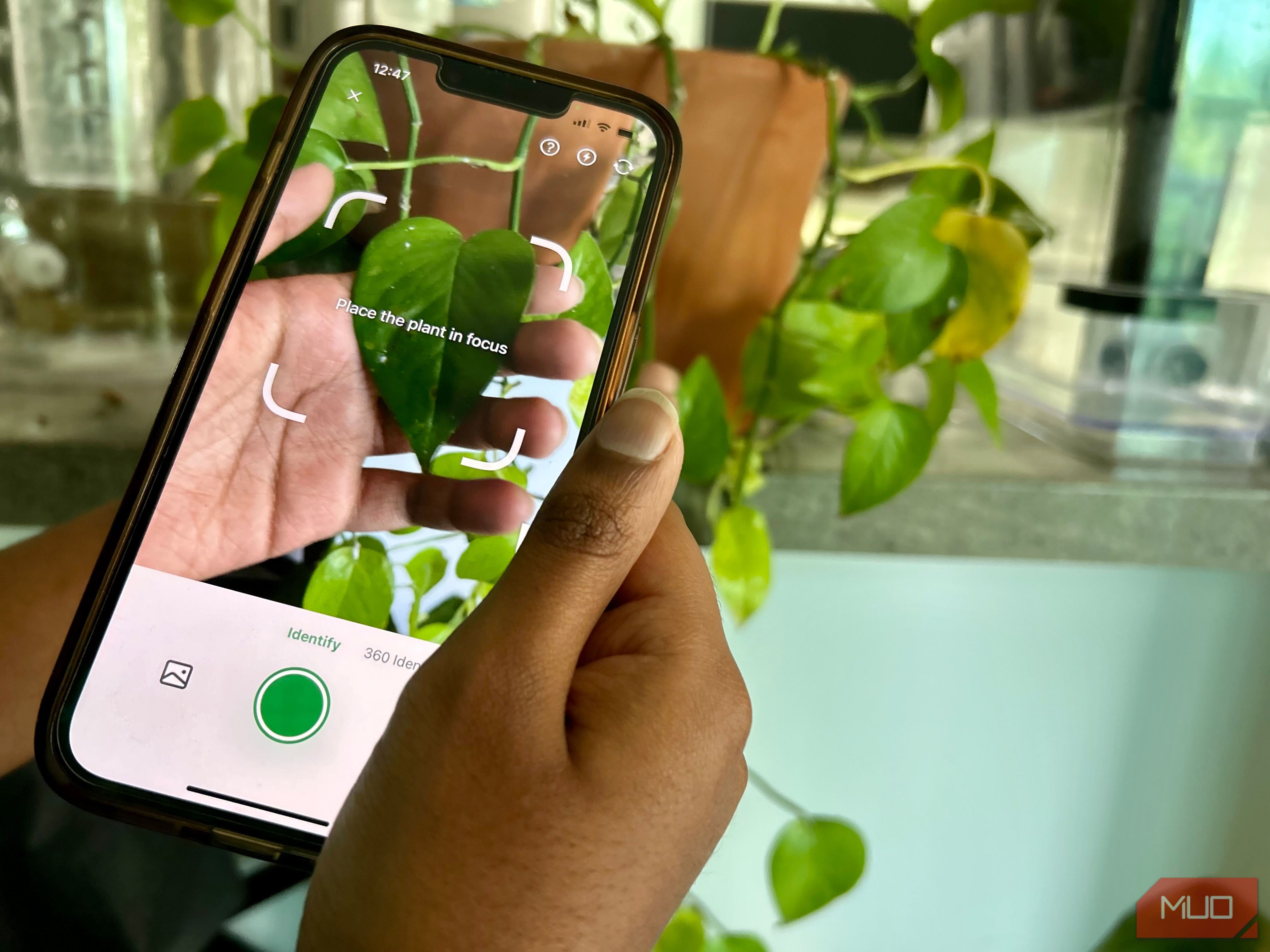 A plant care app on the phone