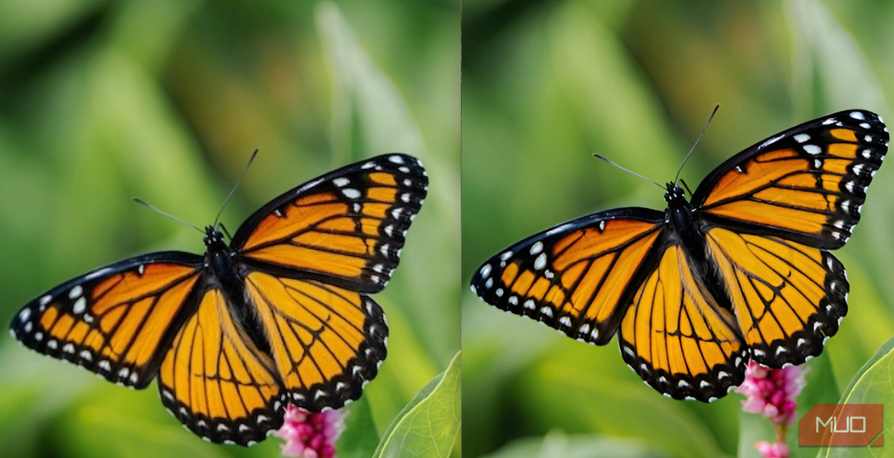 A side-by-side comparison showing the blurry original photo and the sharp, AI-upscaled version.