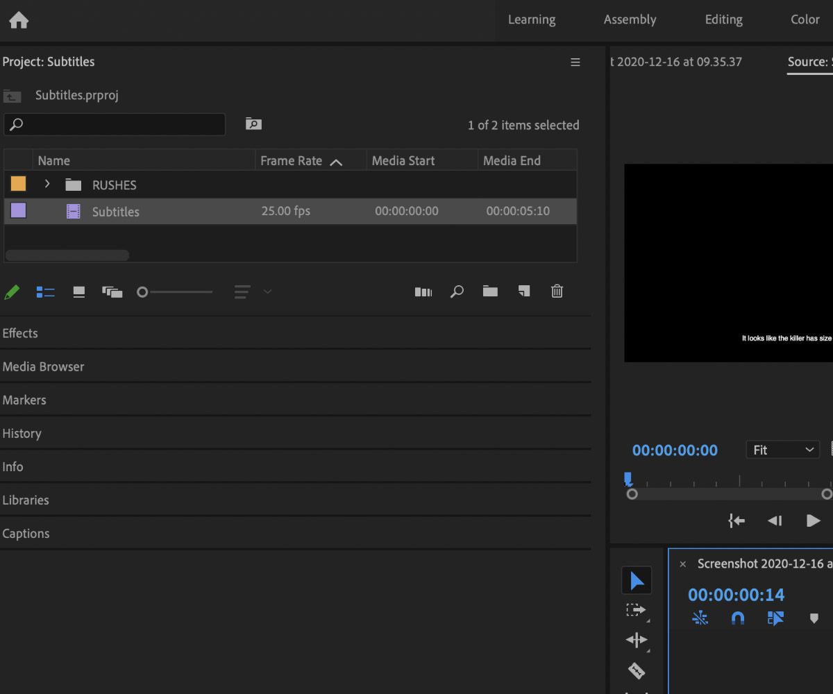 Captions In Project Window - Come creare sottotitoli dinamici in Premiere Pro con lo strumento Sottotitoli